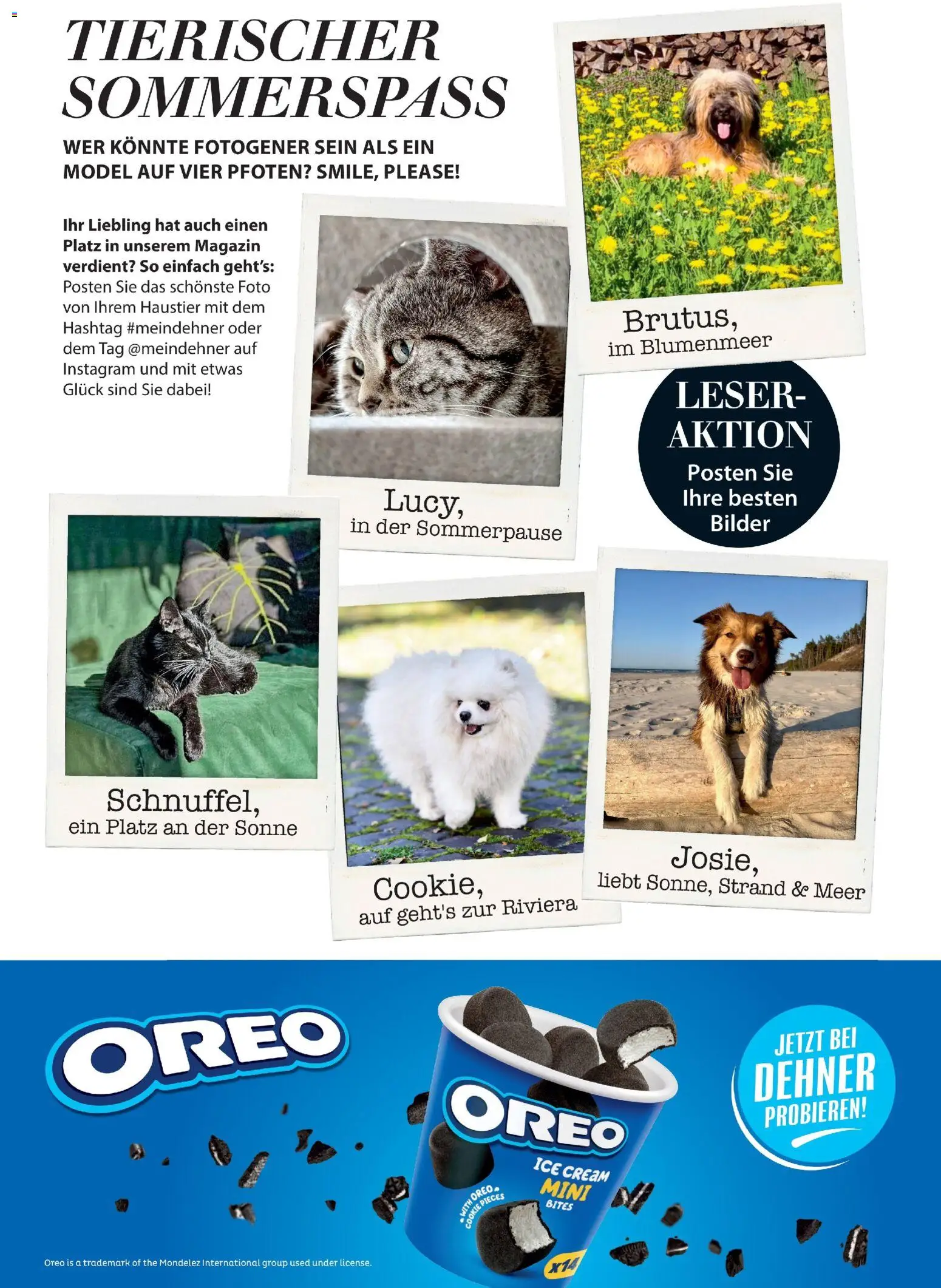 Die besten Angebote | Dehner Flugblatt ab 01.05.2026 | - Jetzt stöbern! | Österreich