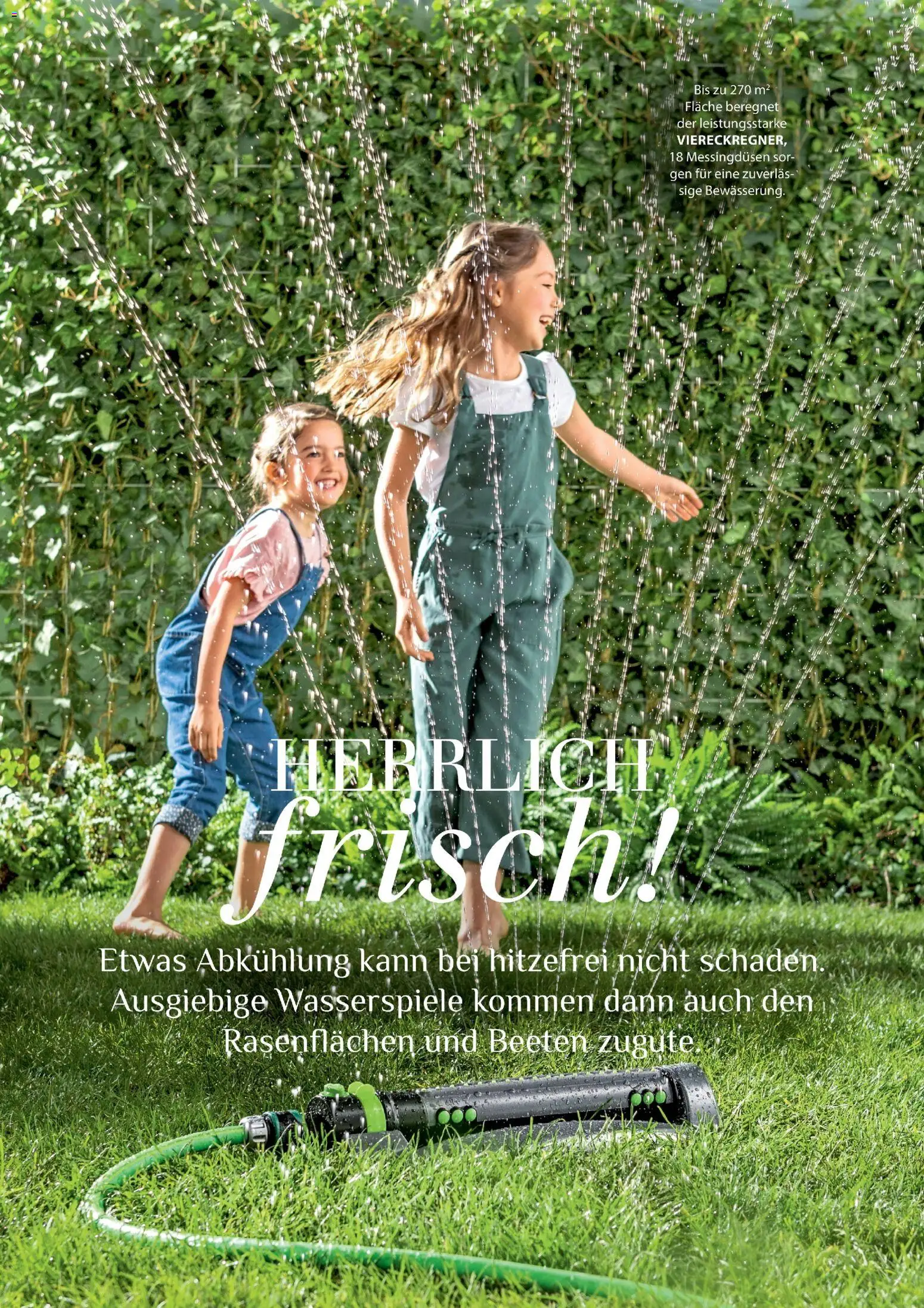 Die besten Angebote | Dehner Flugblatt ab 01.05.2026 | - Jetzt stöbern! | Österreich