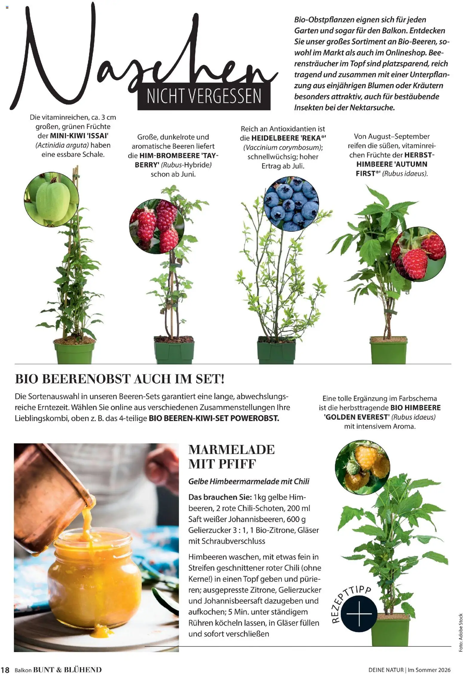 Die besten Angebote | Dehner Flugblatt ab 01.05.2026 | - Jetzt stöbern! | Österreich