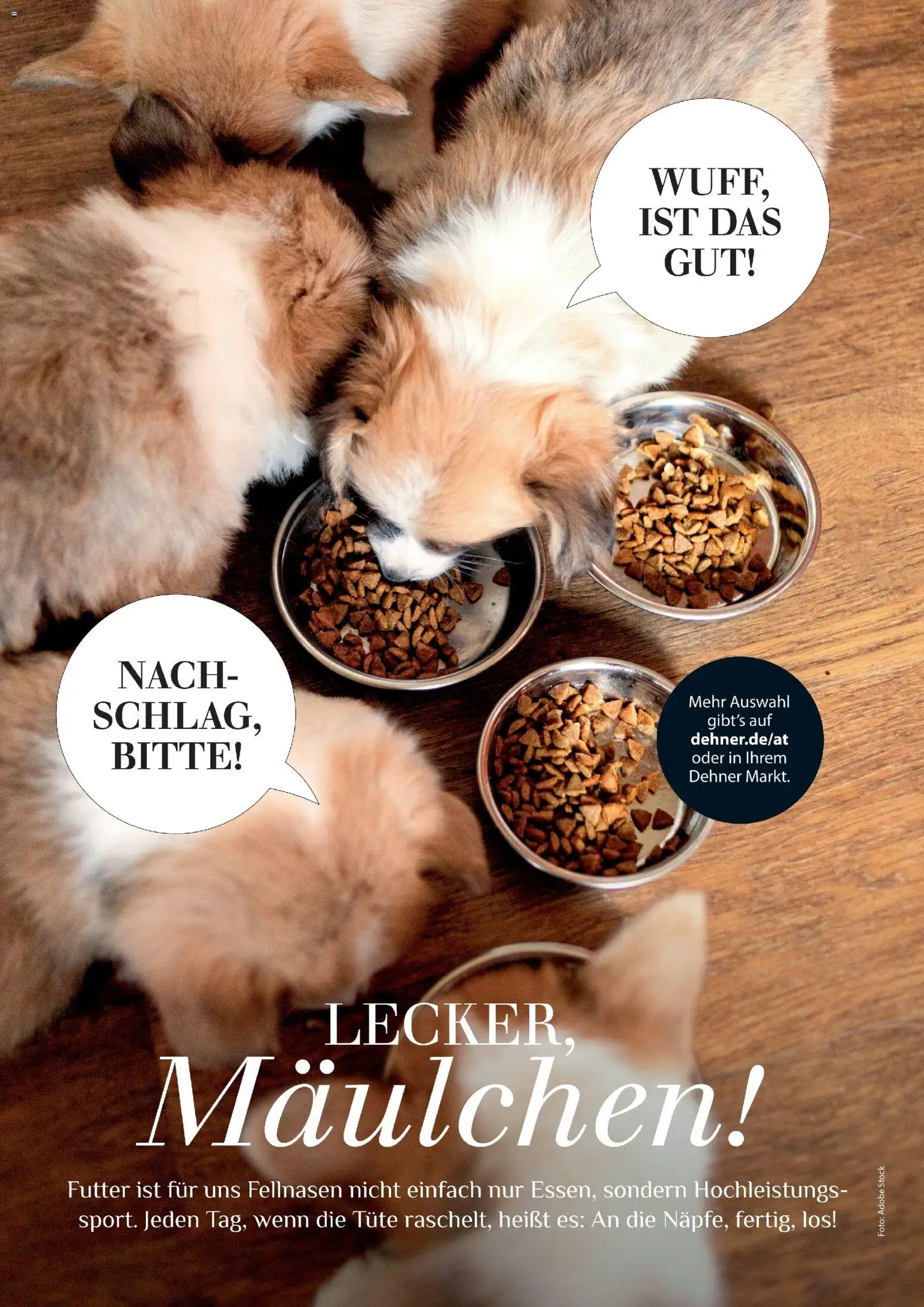 Die besten Angebote | Dehner Flugblatt ab 01.05.2026 | - Jetzt stöbern! | Österreich
