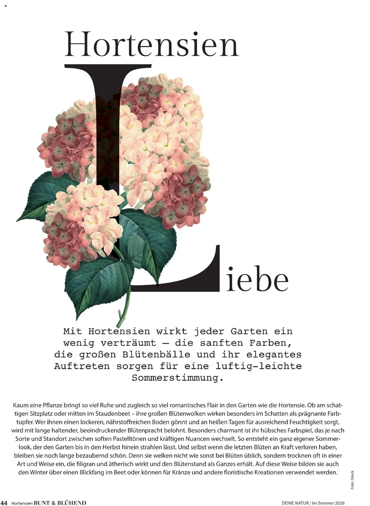 Die besten Angebote | Dehner Flugblatt ab 01.05.2026 | - Jetzt stöbern! | Österreich