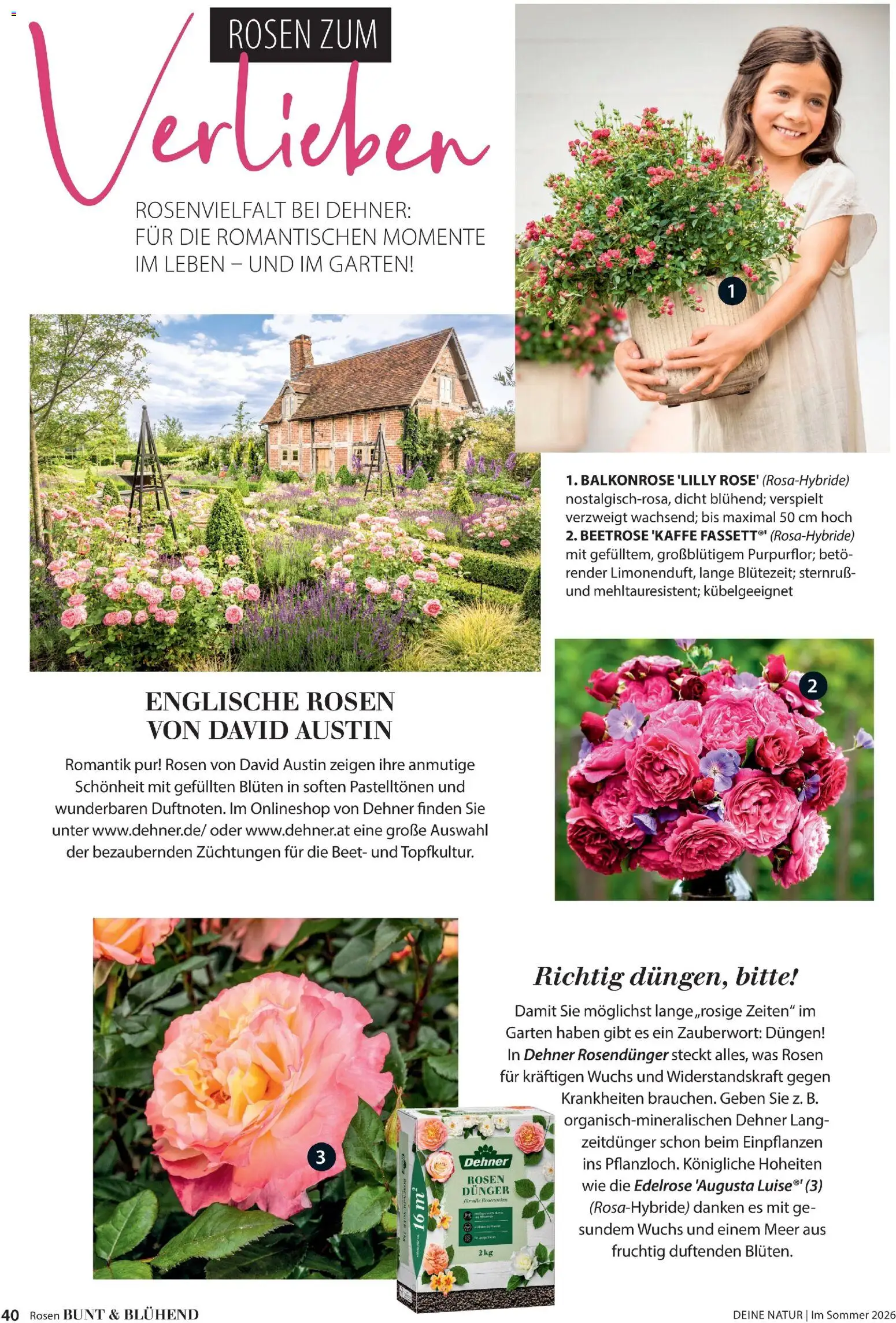 Die besten Angebote | Dehner Flugblatt ab 01.05.2026 | - Jetzt stöbern! | Österreich