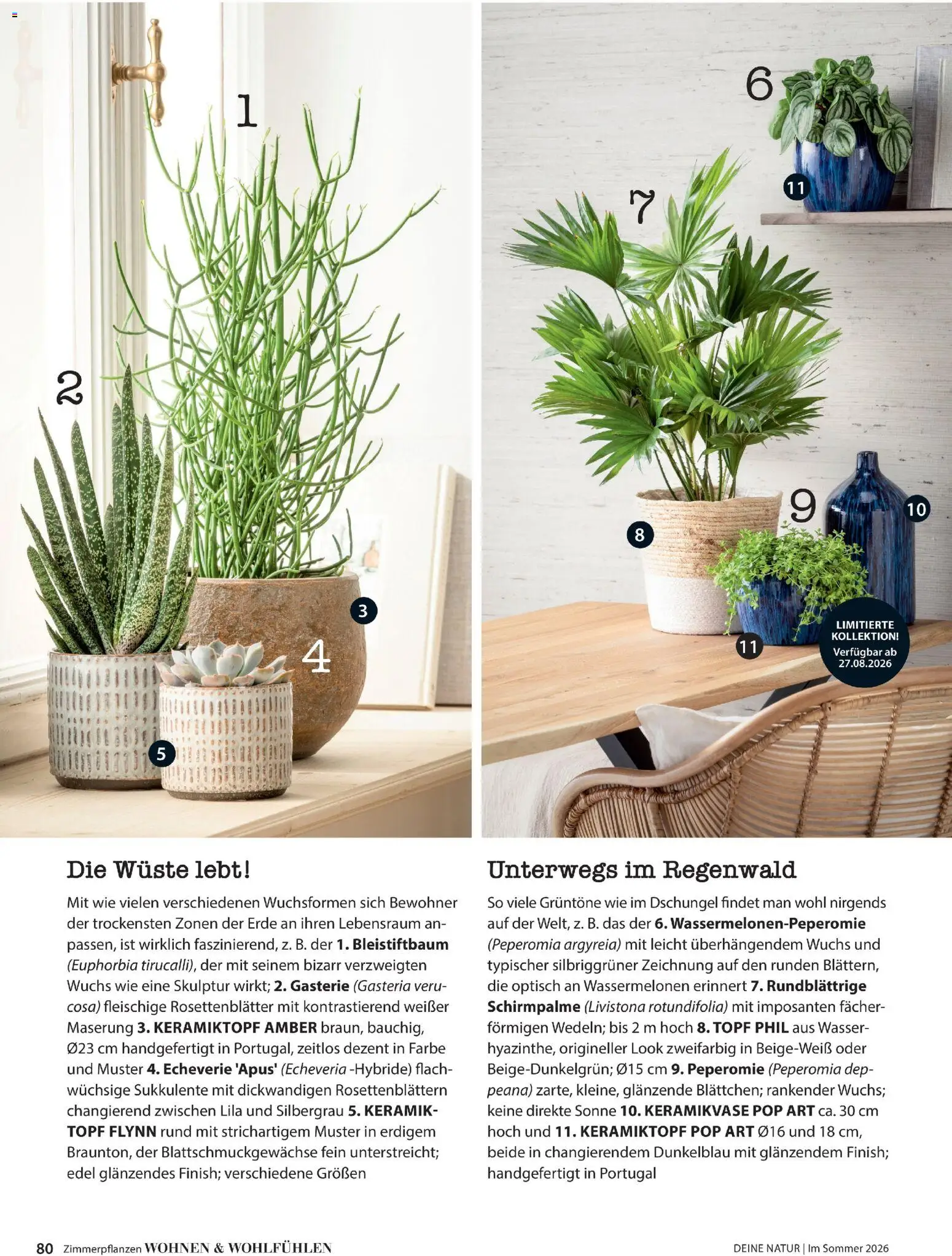 Die besten Angebote | Dehner Flugblatt ab 01.05.2026 | - Jetzt stöbern! | Österreich
