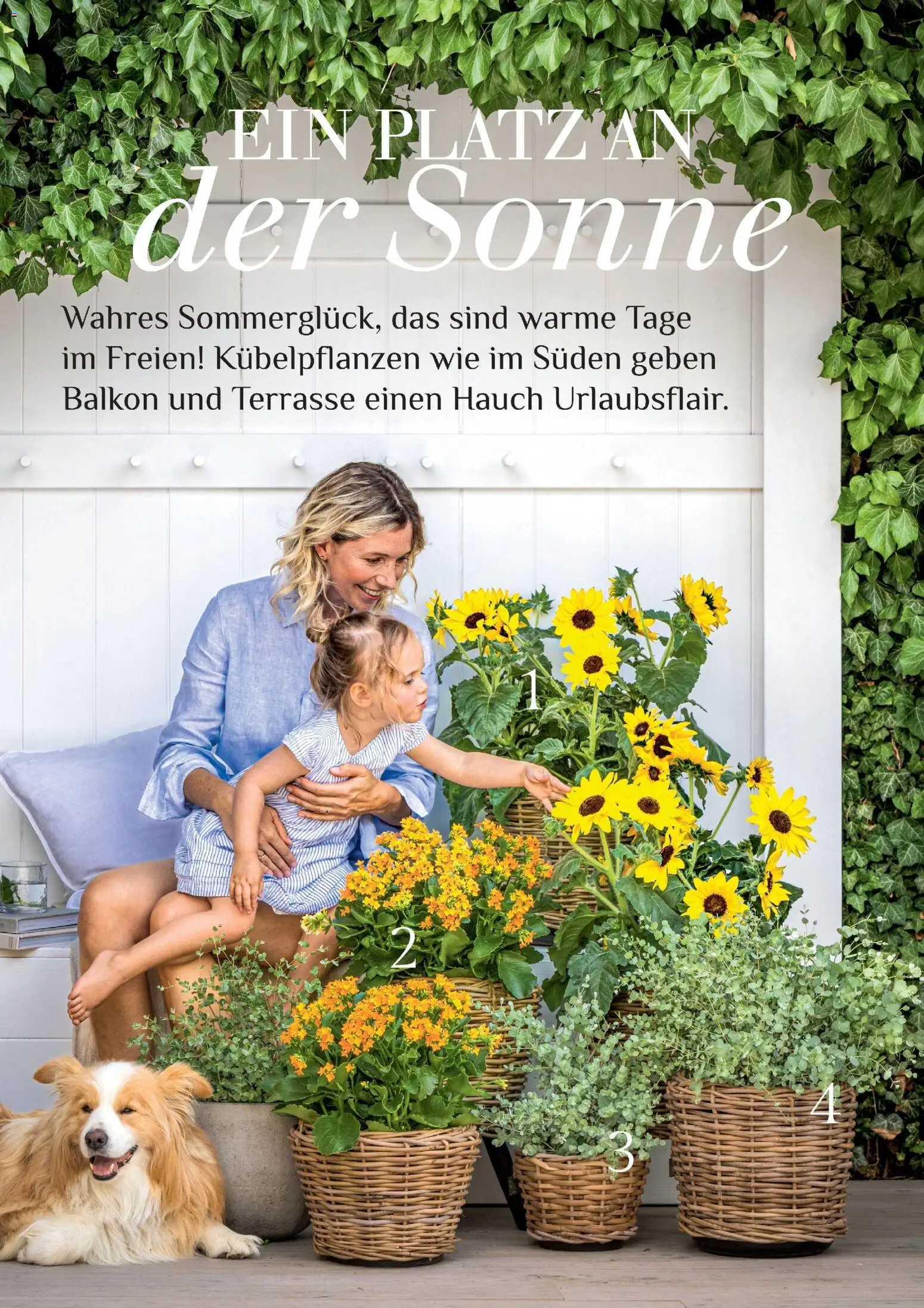 Die besten Angebote | Dehner Flugblatt ab 01.05.2026 | - Jetzt stöbern! | Österreich