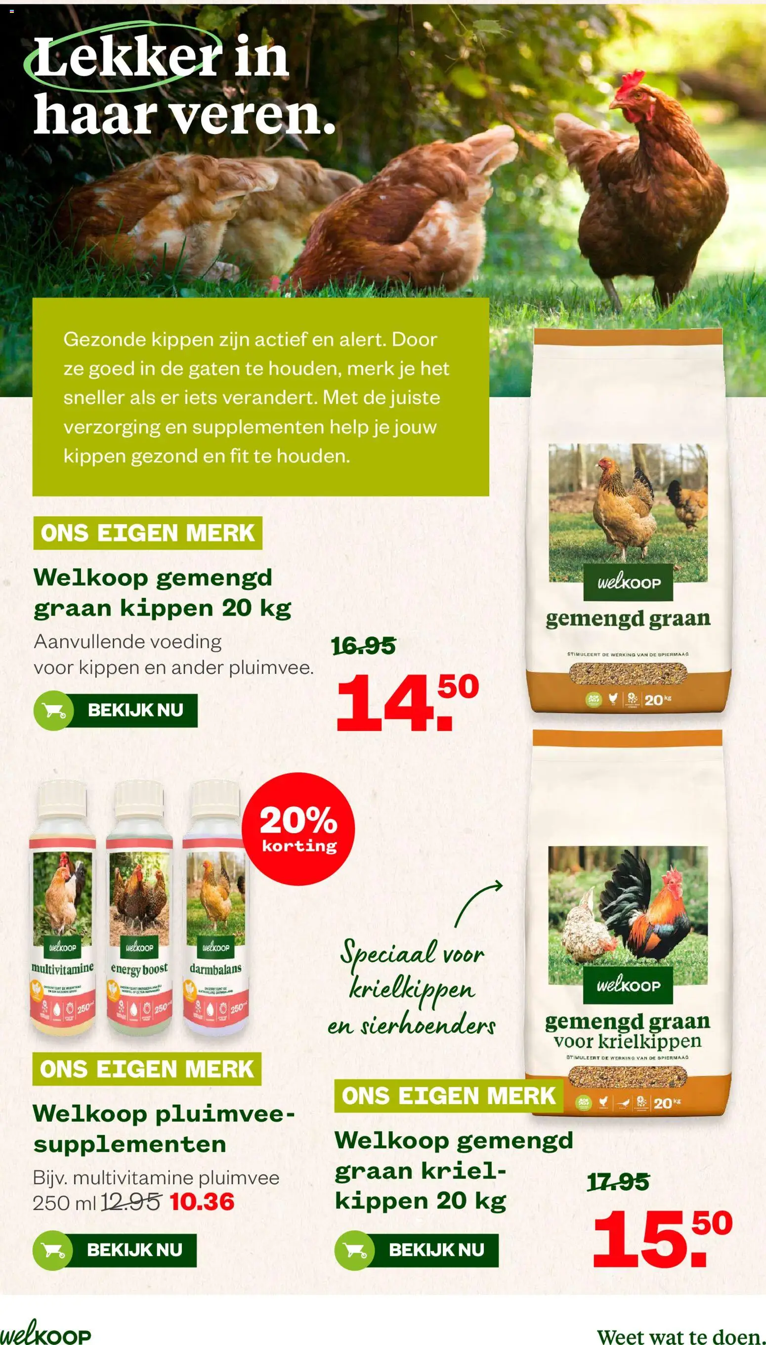 Welkoop folder Folder in Nederland