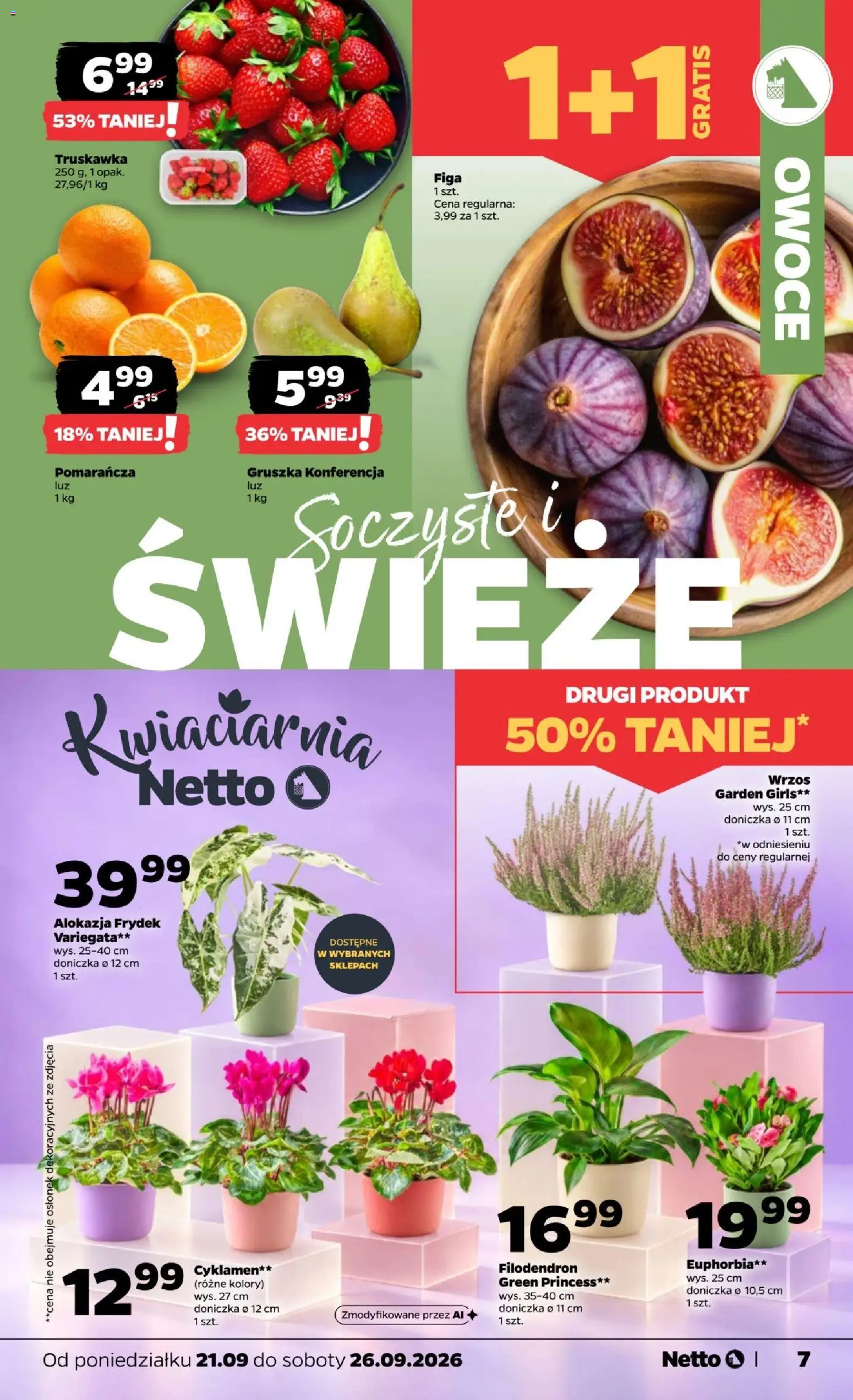 Netto gazetka od poniedziałku Gazetka in Polska