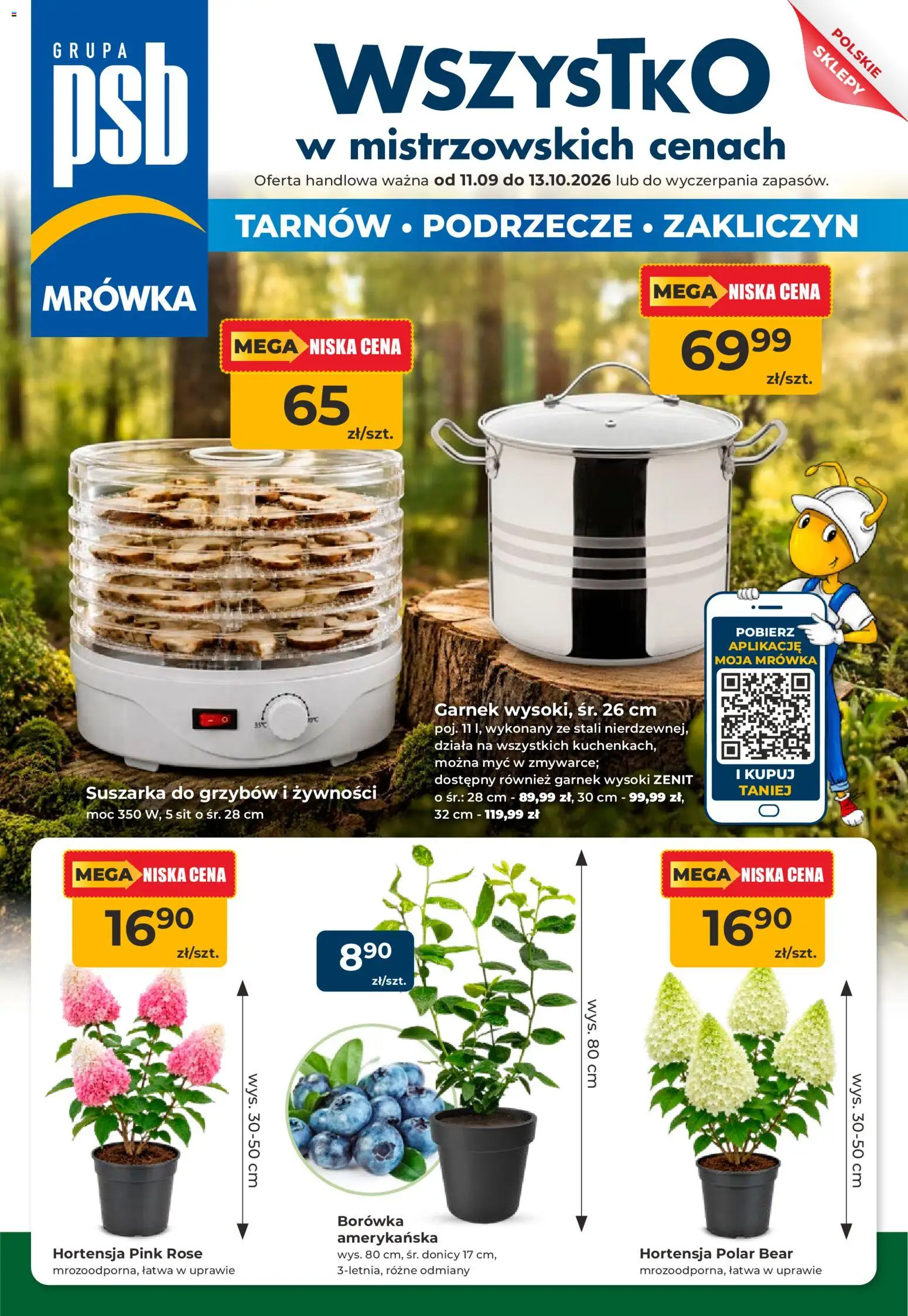Mrówka gazetka - Tarnów Gazetka in Polska