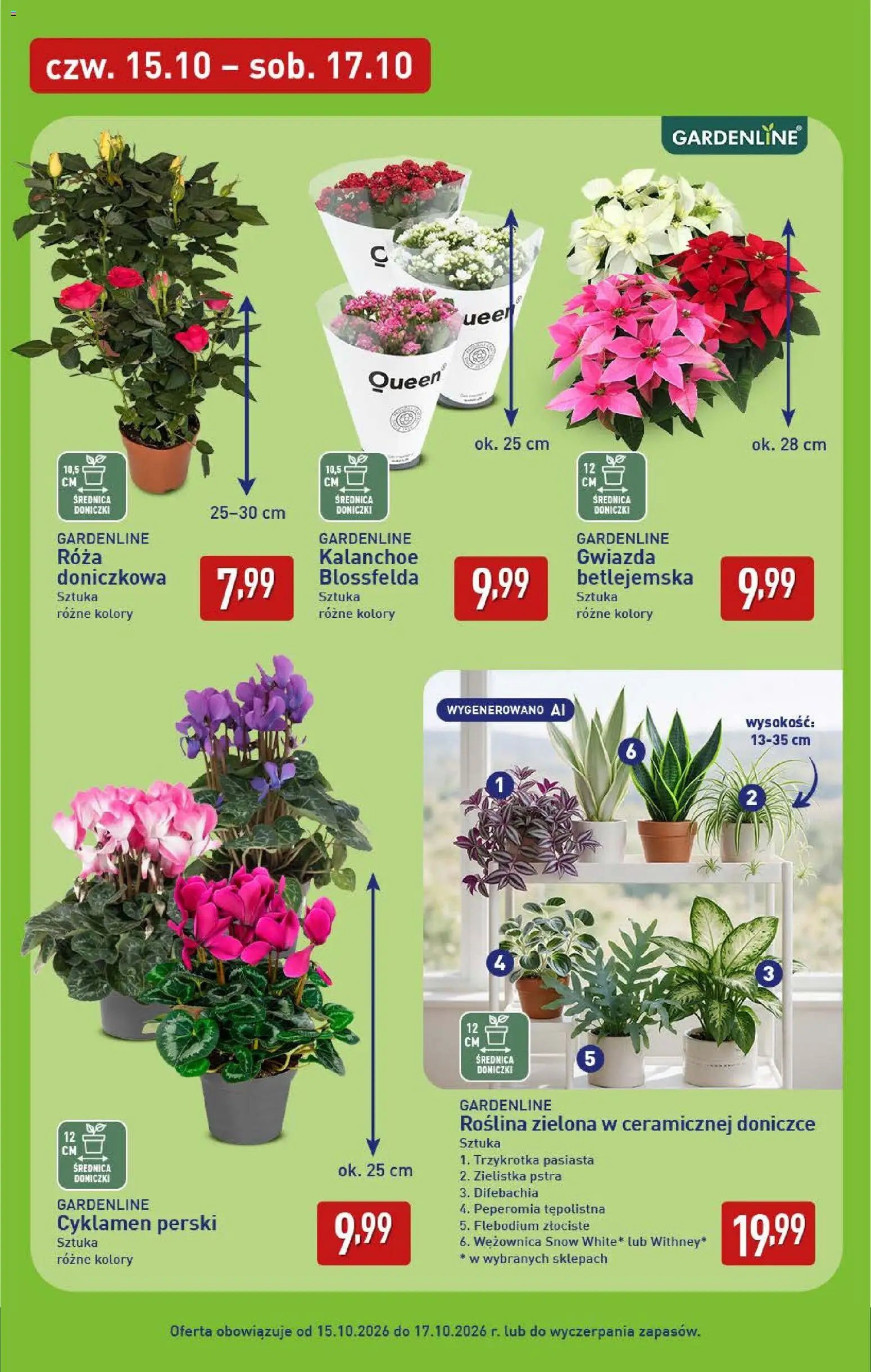 Aldi gazetka Gazetka in Polska