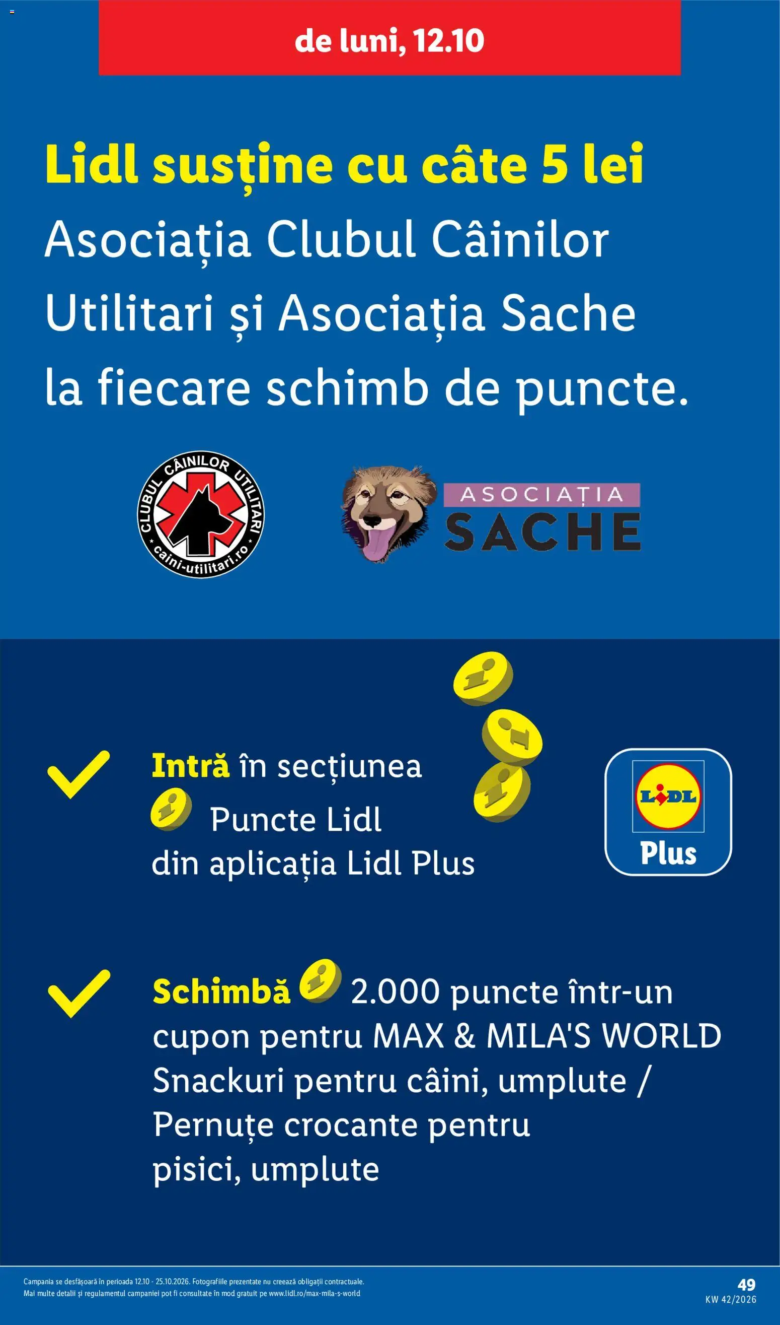 Lidl Catalog Catalog in România