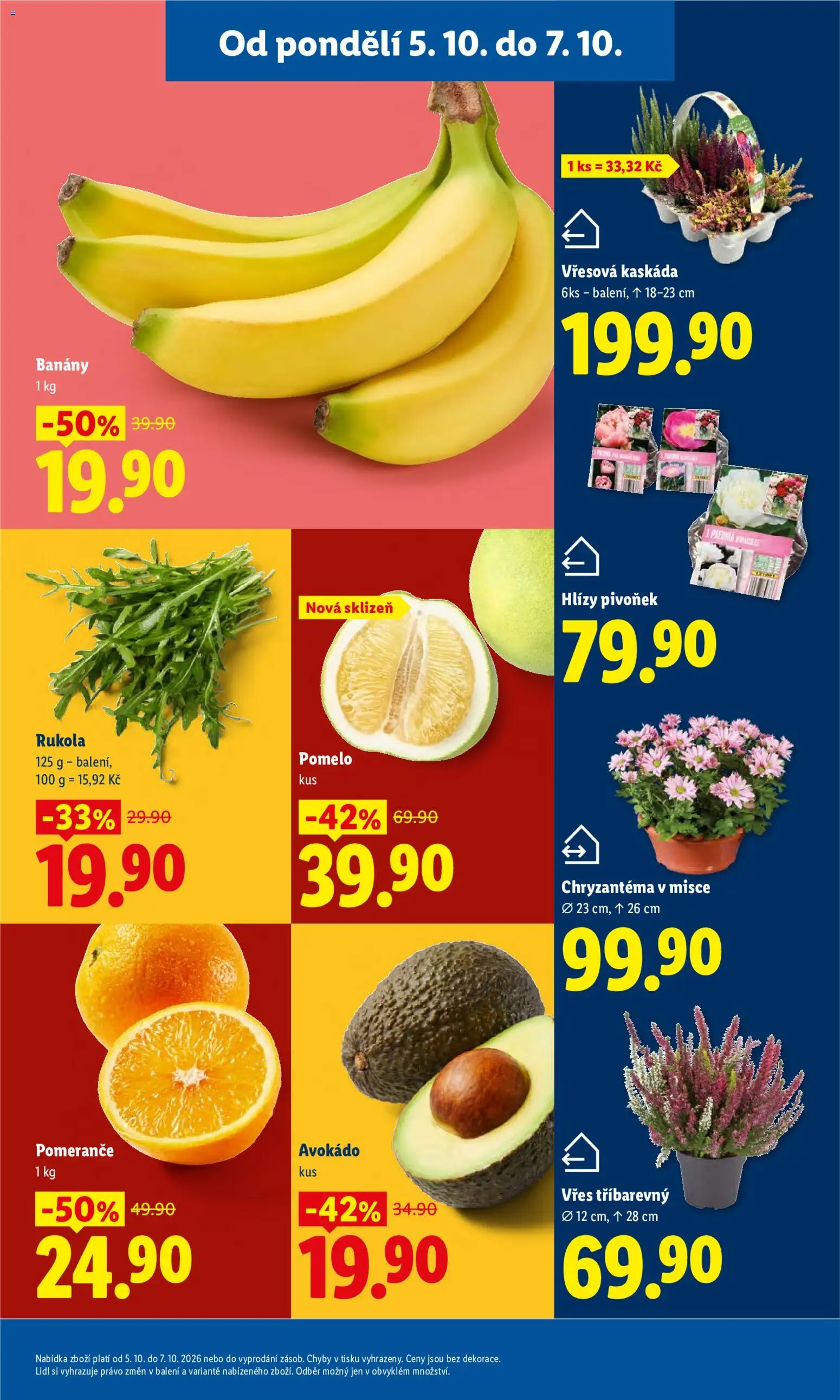 Lidl leták Leták in Česko
