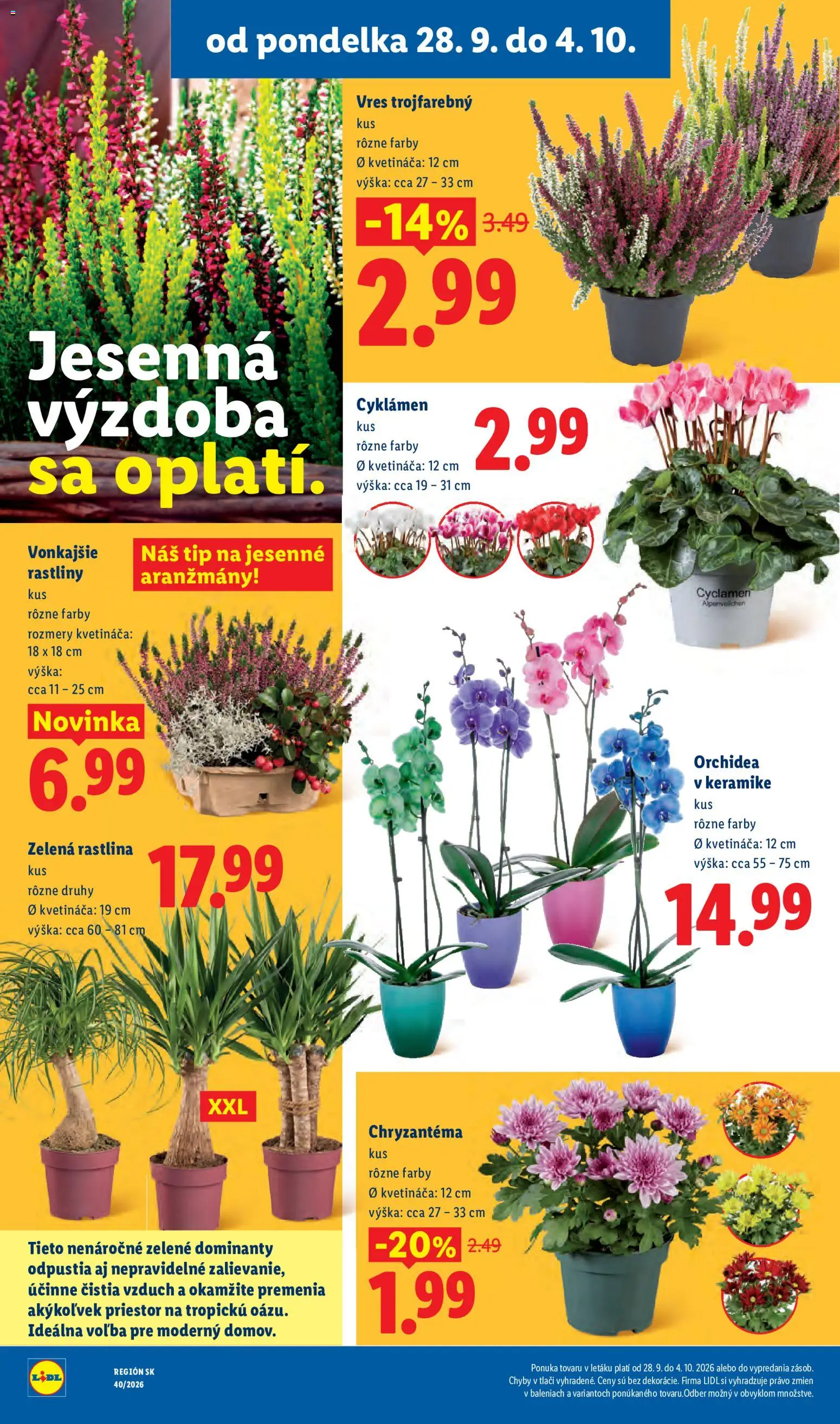 Lidl leták Leták in Slovensko
