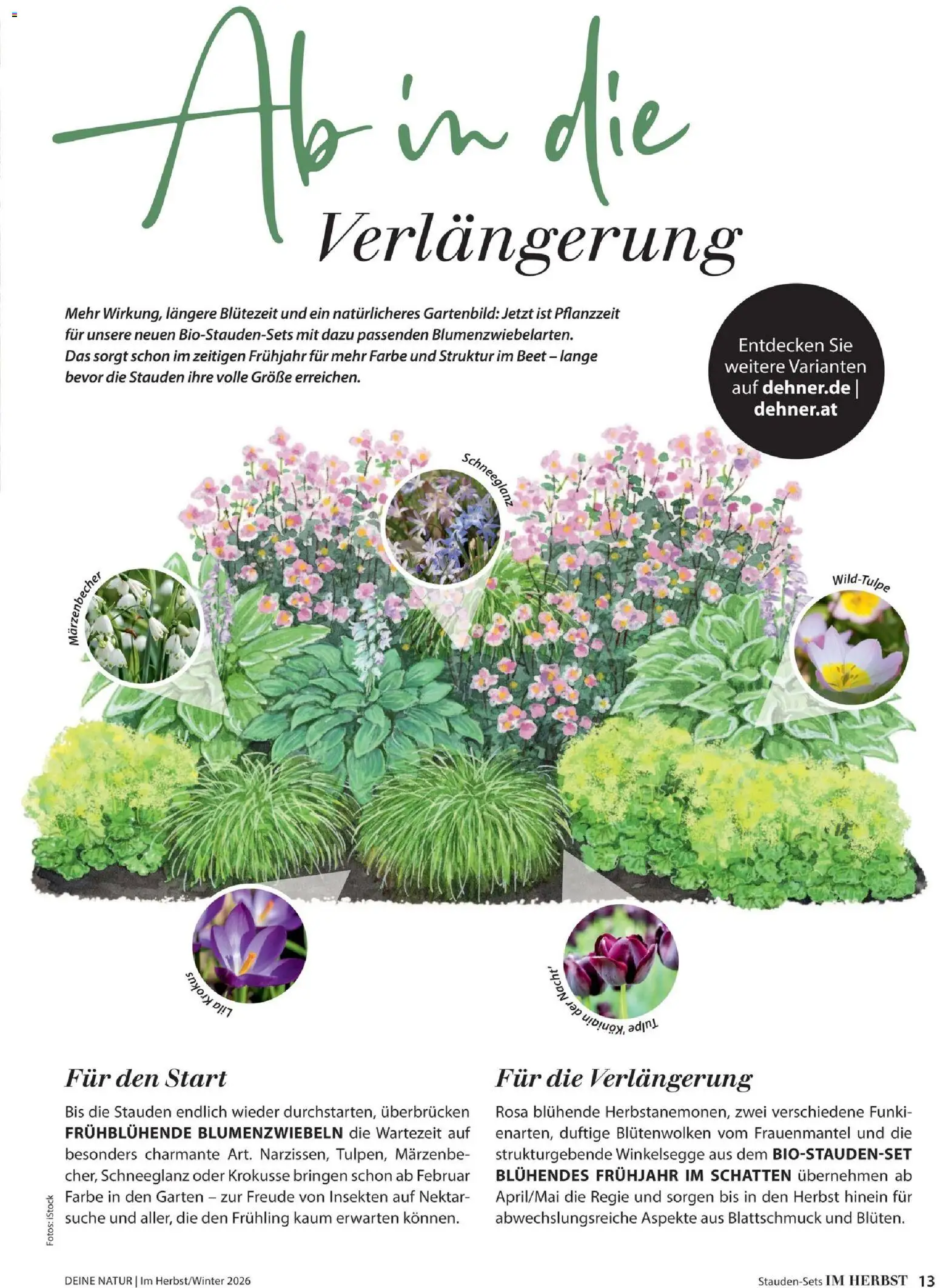 Dehner Prospekt Prospekt in Deutschland