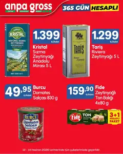 Anpa Gross Anpa Gross Katalog