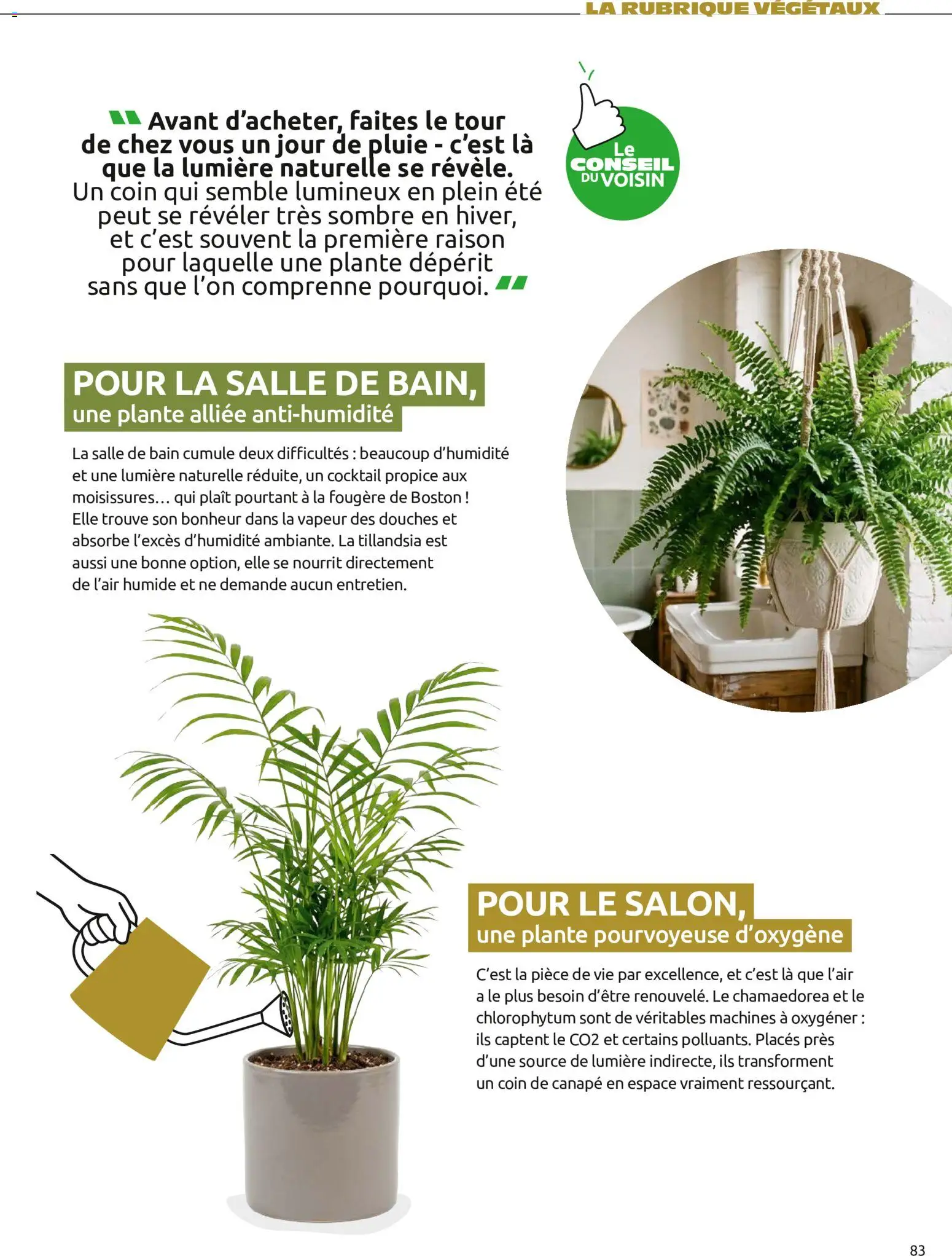 Mr. Bricolage catalogue Automne Catalogue in France