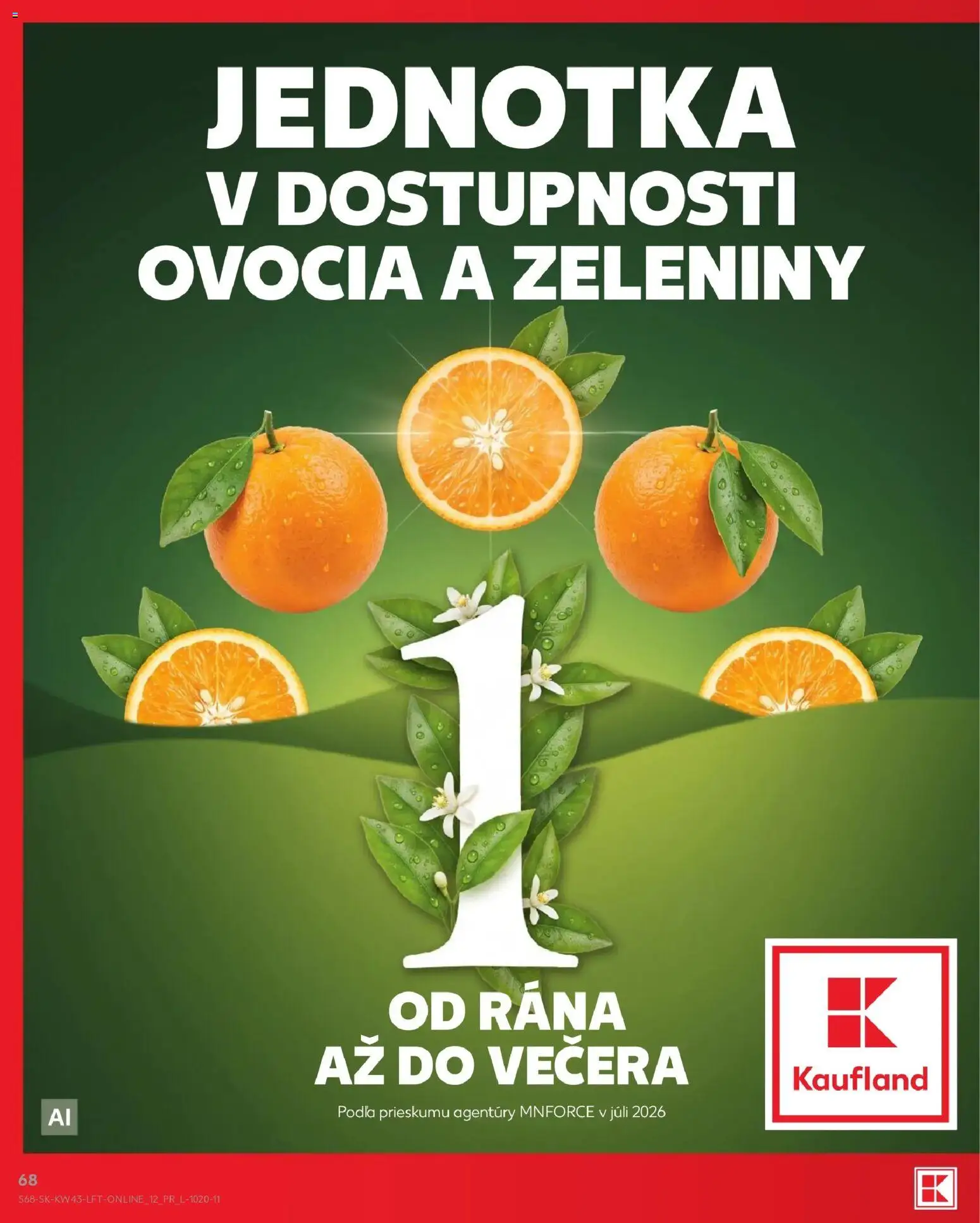 Kaufland leták Leták in Slovensko