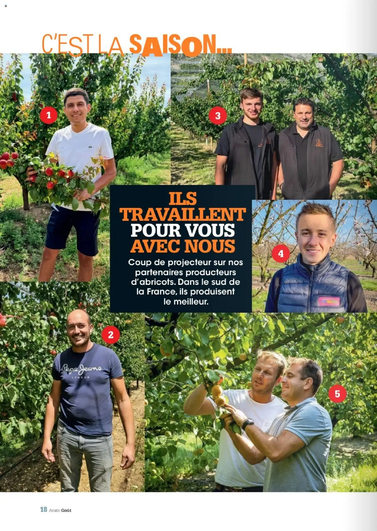 Grand Frais - Eté 2026 Catalogue in France