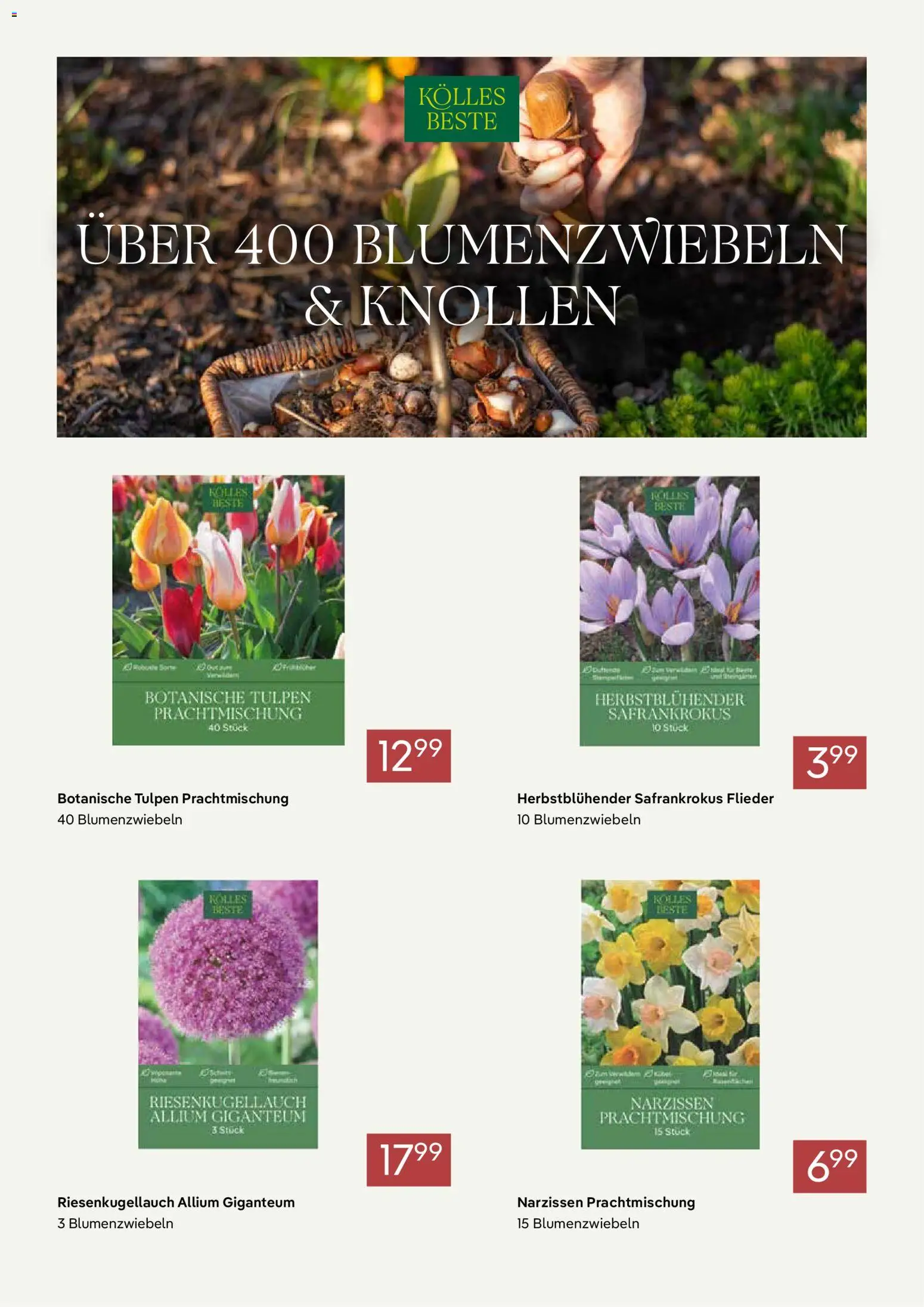 Pflanzen-Kölle Prospekt Prospekt in Deutschland