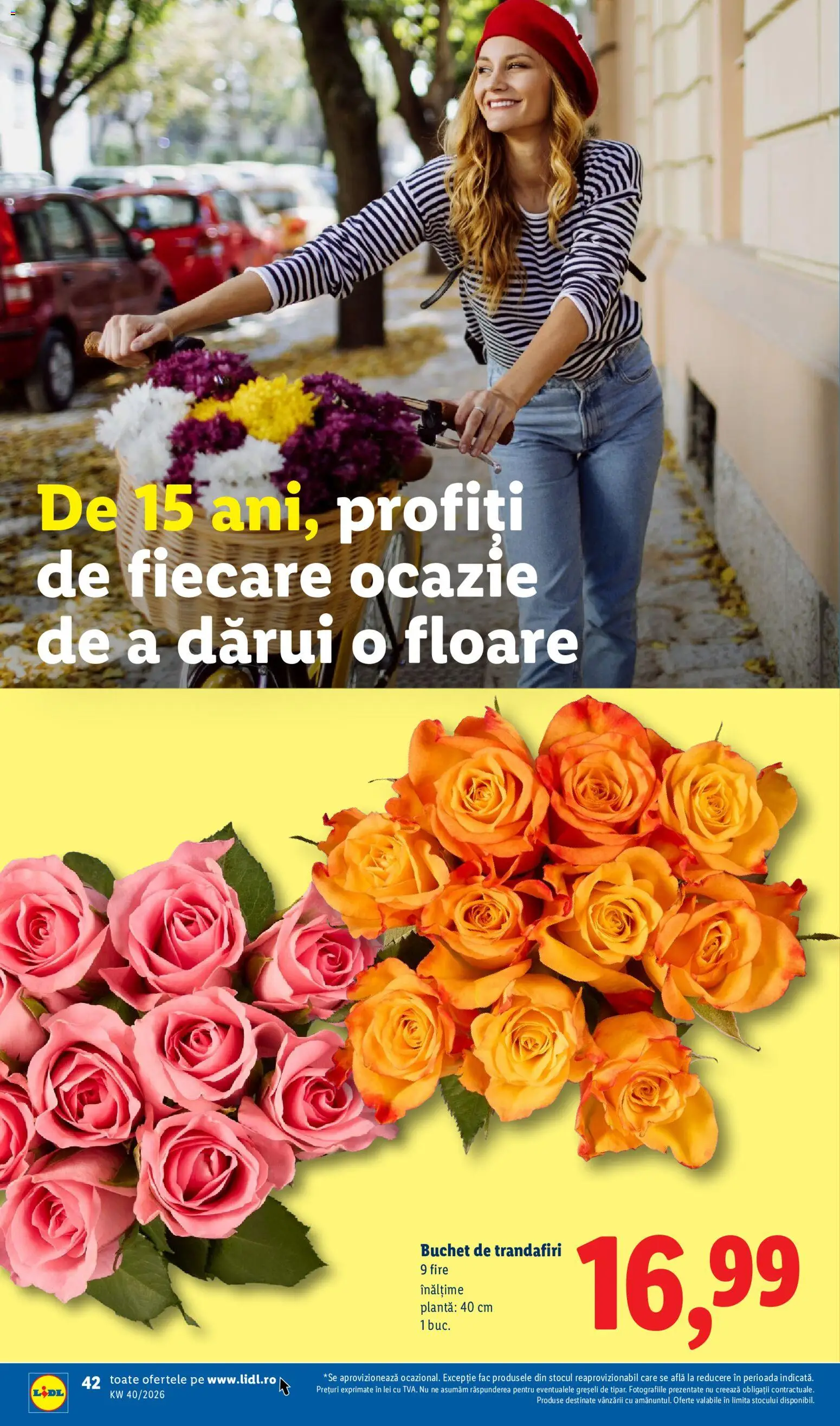 Lidl Catalog Catalog in România