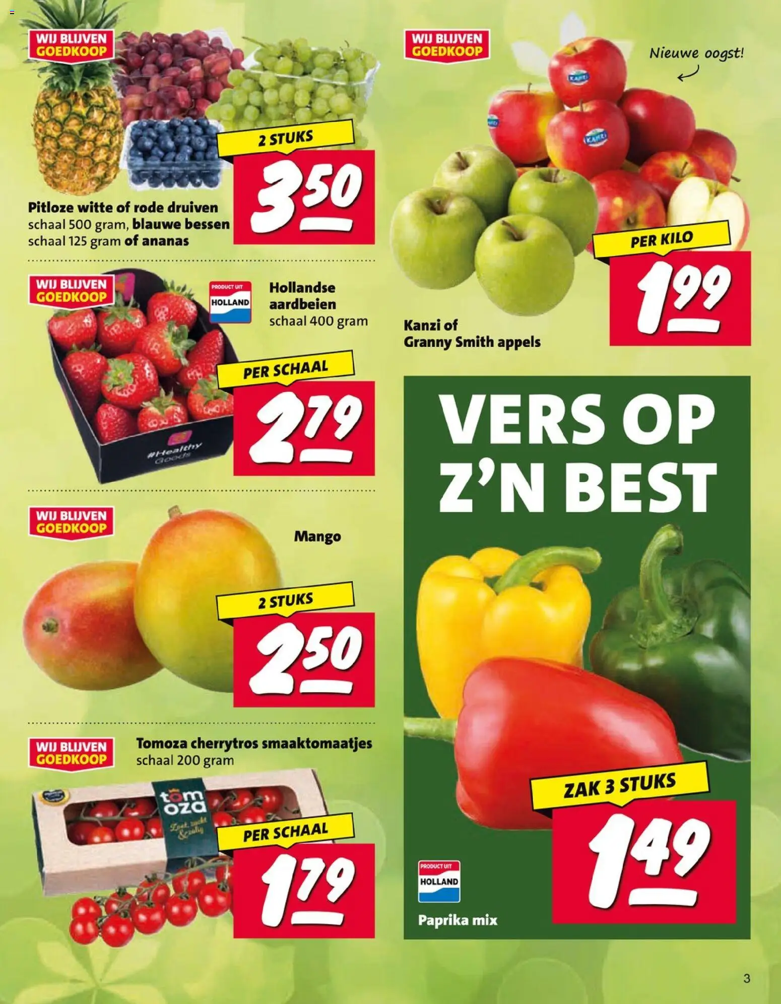 Nettorama folder Folder in Nederland