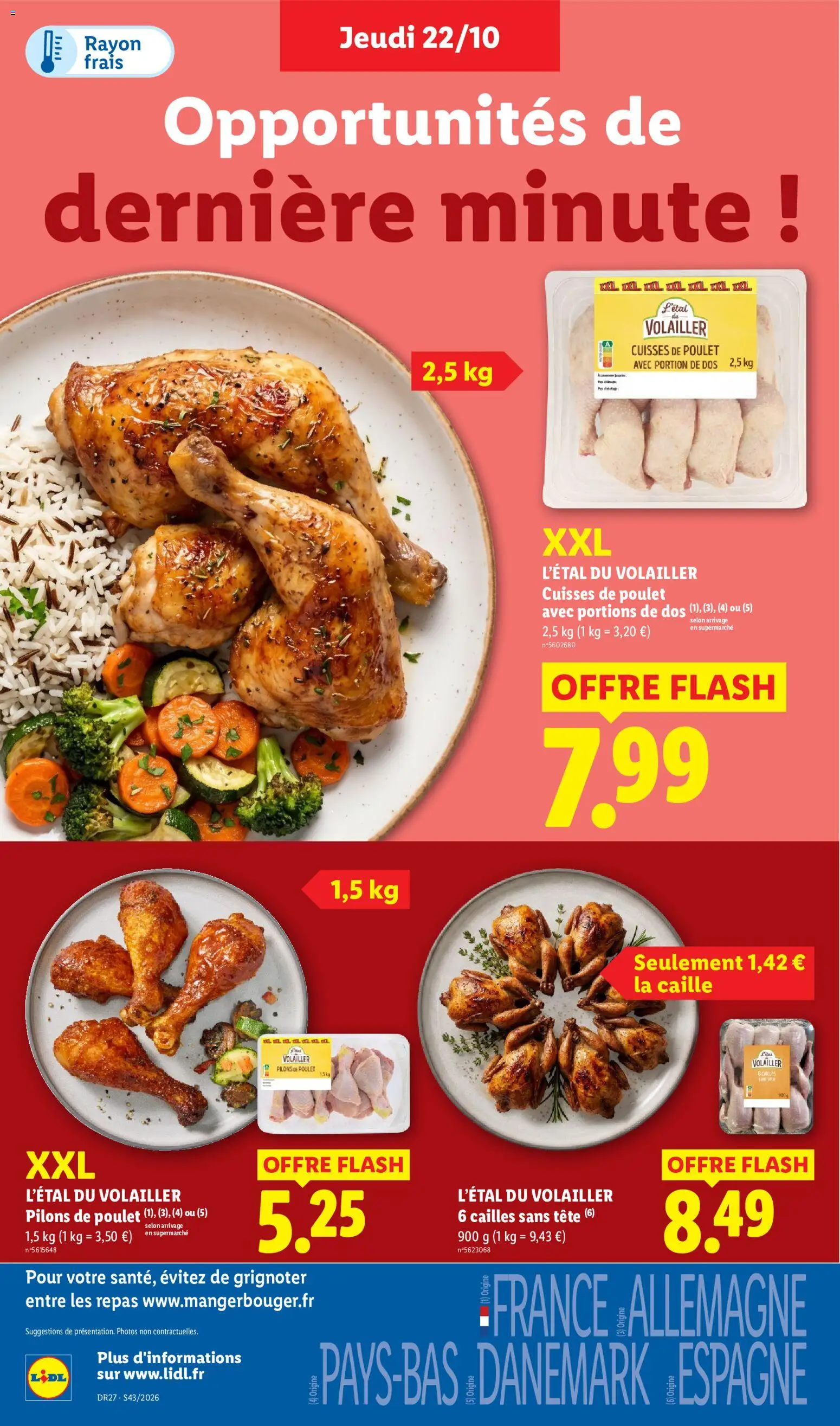 LIDL catalogue Catalogue in France