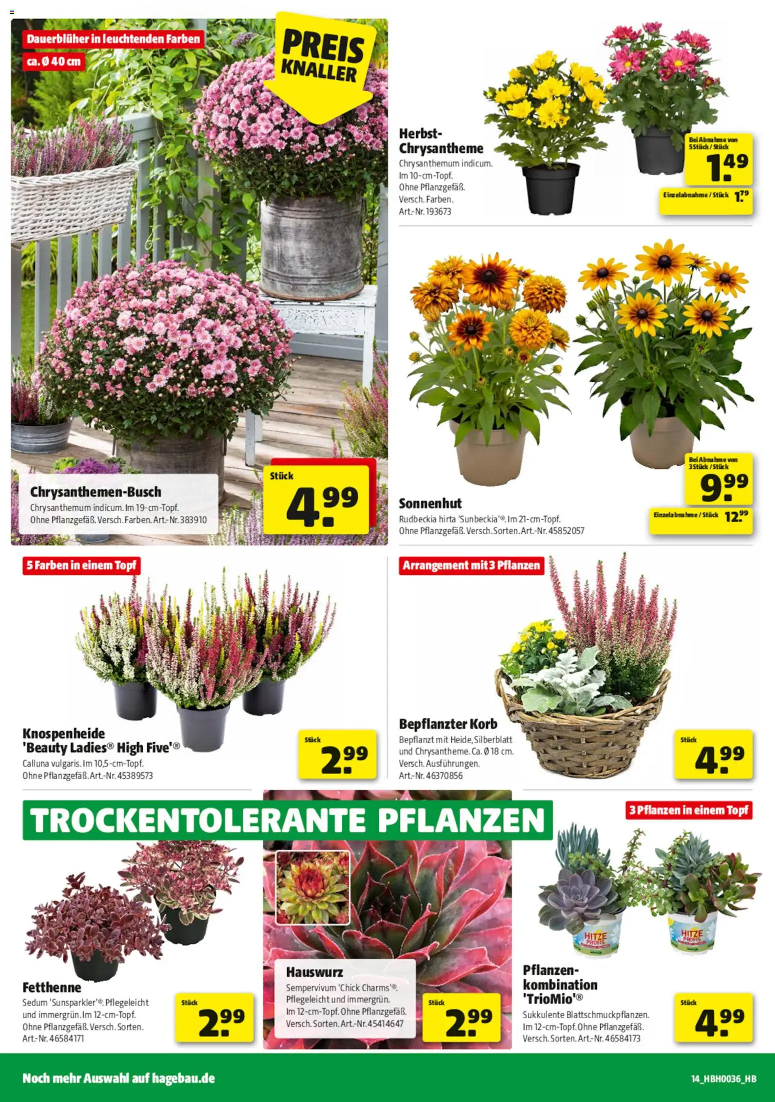 Hagebau Prospekt Prospekt in Deutschland
