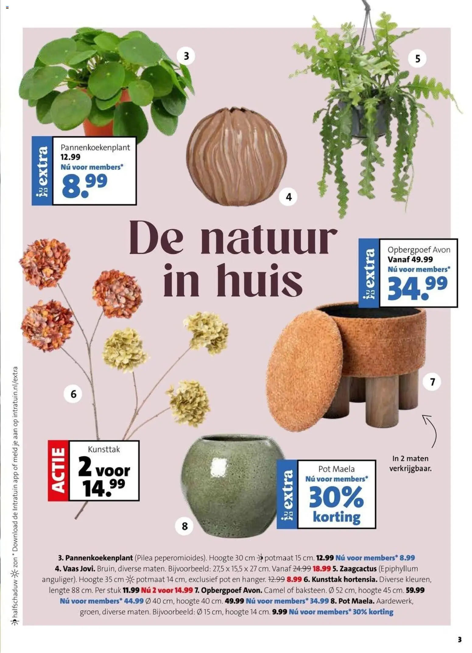 Intratuin folder Folder in Nederland