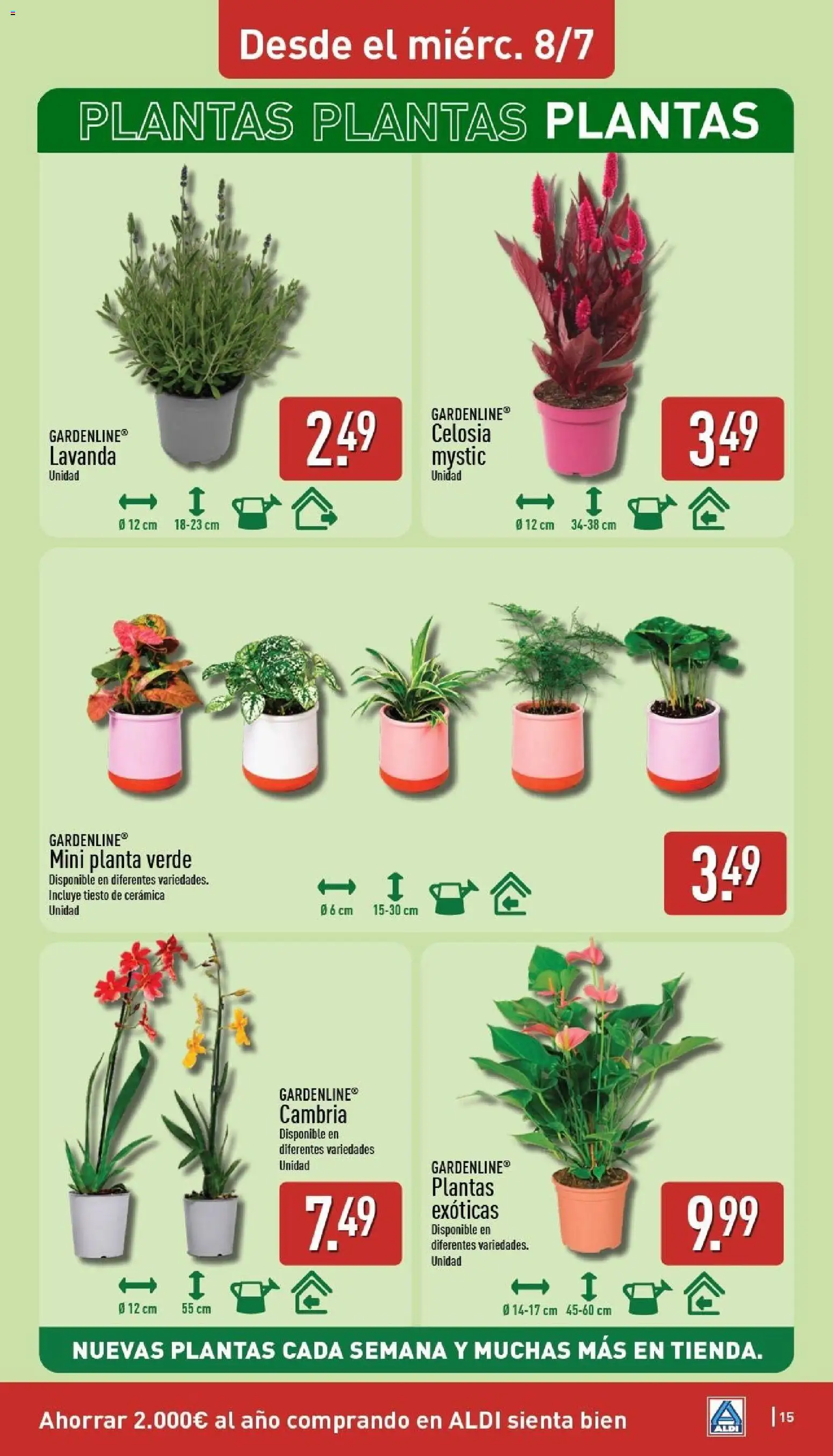 Aldi folleto desde 06/07/2026 | ¿Cómo obtener un descuento limitado? ¡Ahorra hoy mismo! | España