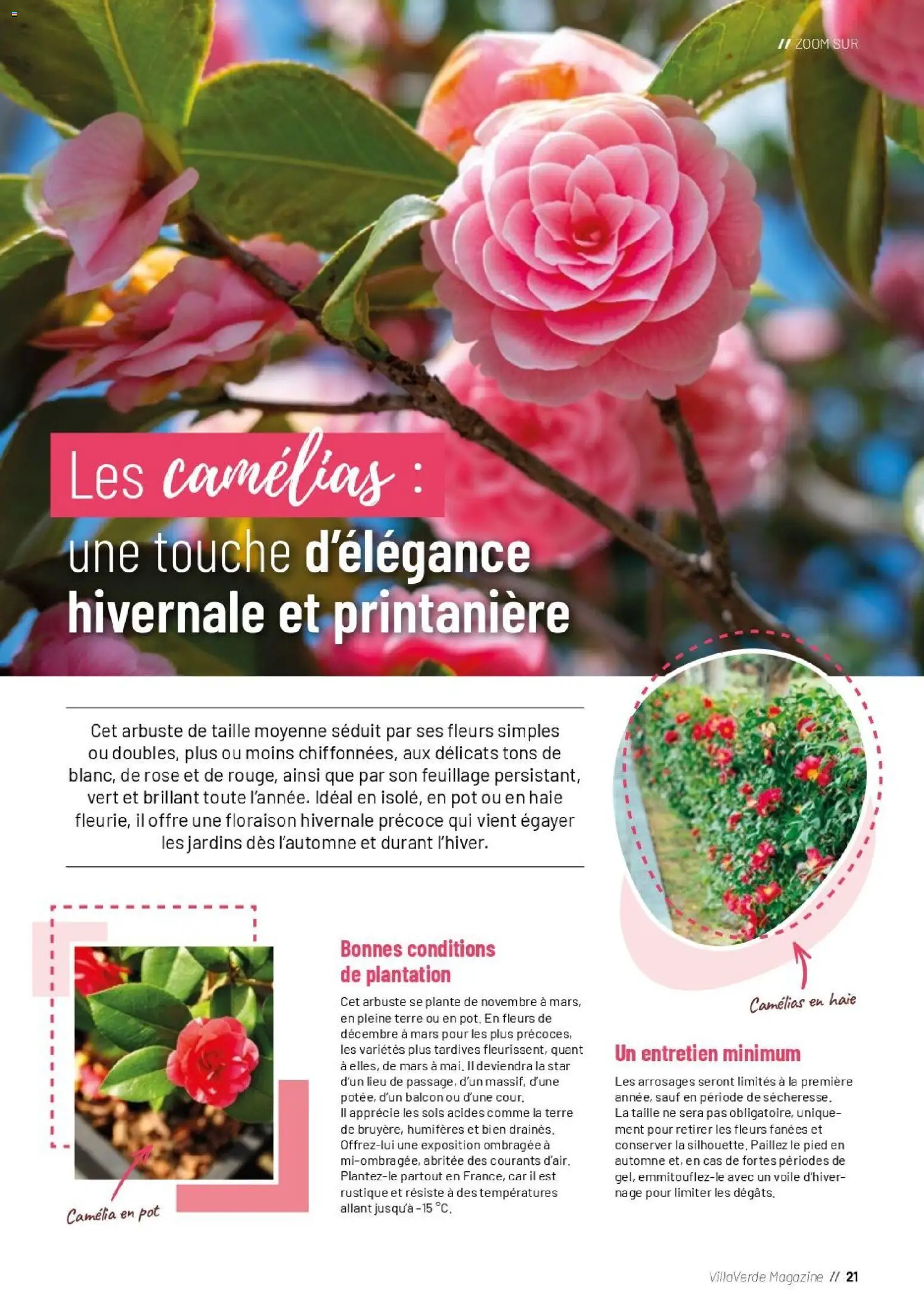 VillaVerde catalogue Catalogue in France