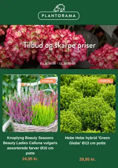 Plantorama Plantorama - Tilbudsavis