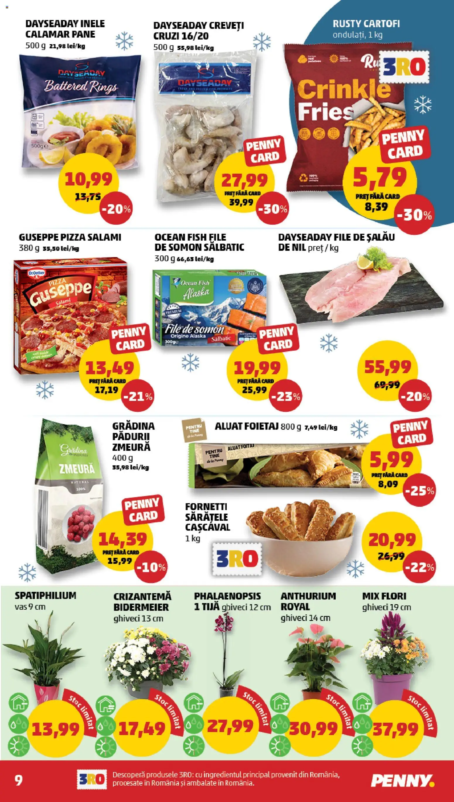 PENNY Catalog Catalog in România