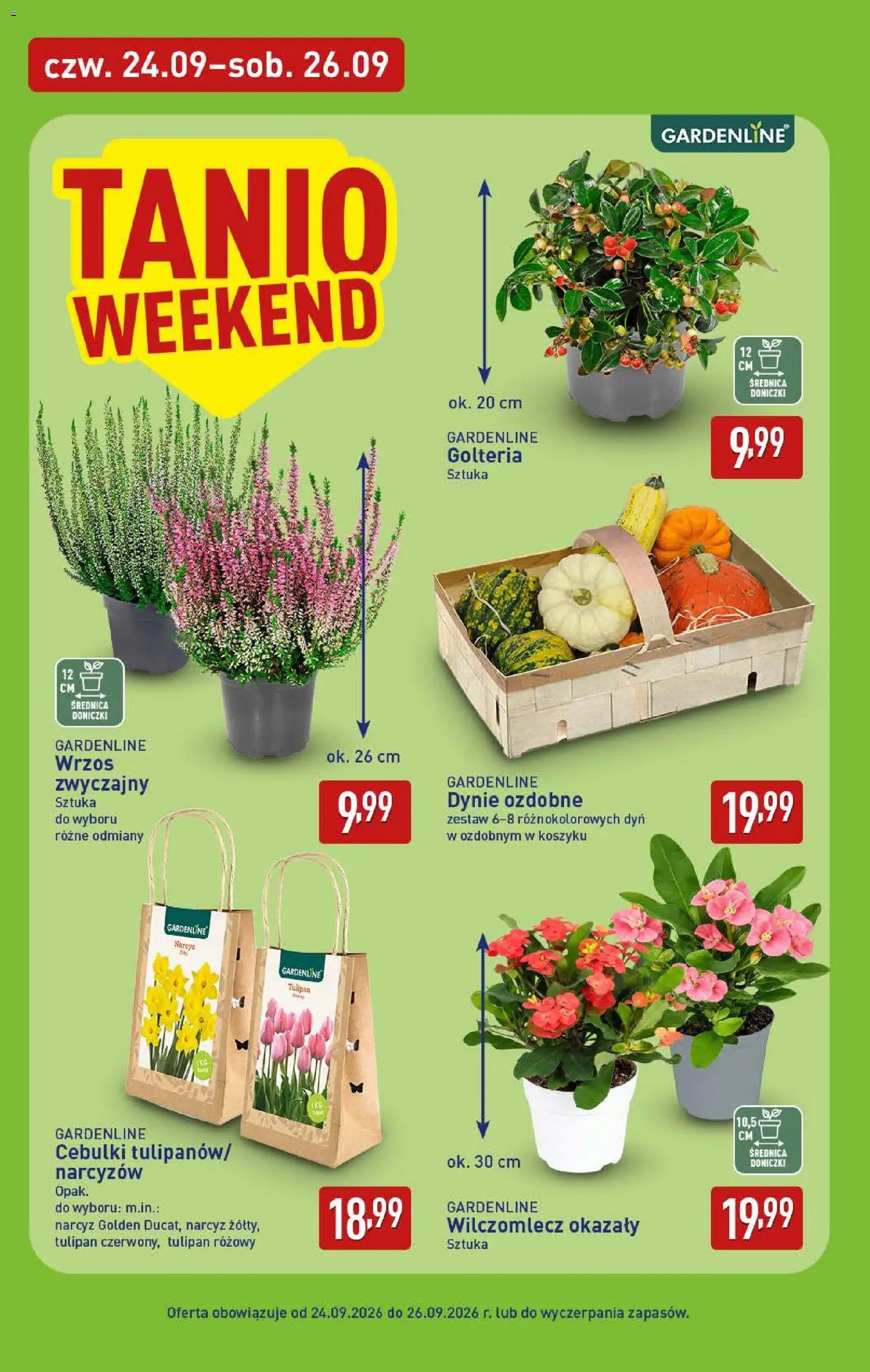 Aldi gazetka Gazetka in Polska
