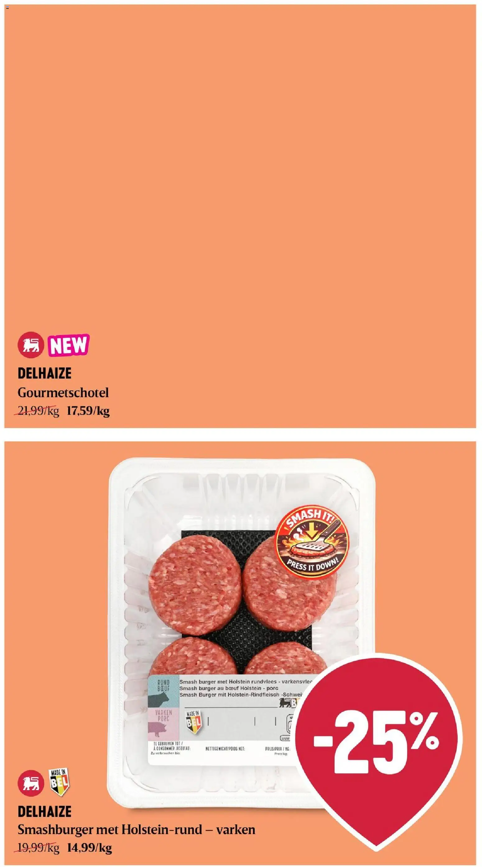 Delhaize folder Folder in België