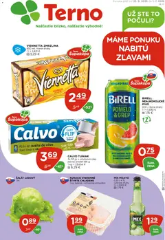 Terno Terno leták