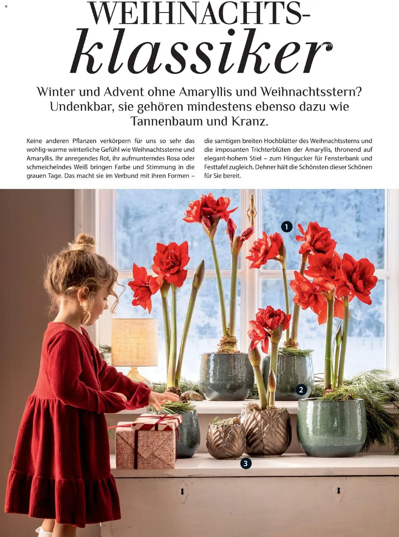 Dehner Prospekt Prospekt in Deutschland