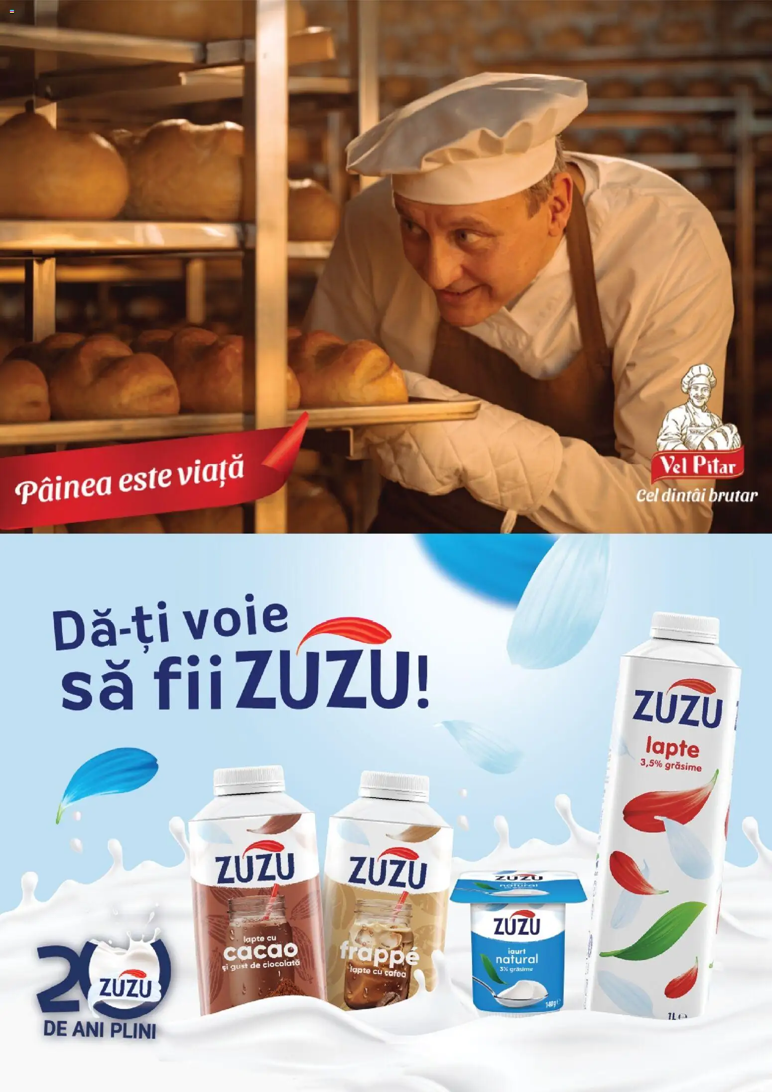 🛍️ Diana Catalog din 01.07.2026 » Descoperiți oferte exclusive și economisiți chiar azi! 💰 | România