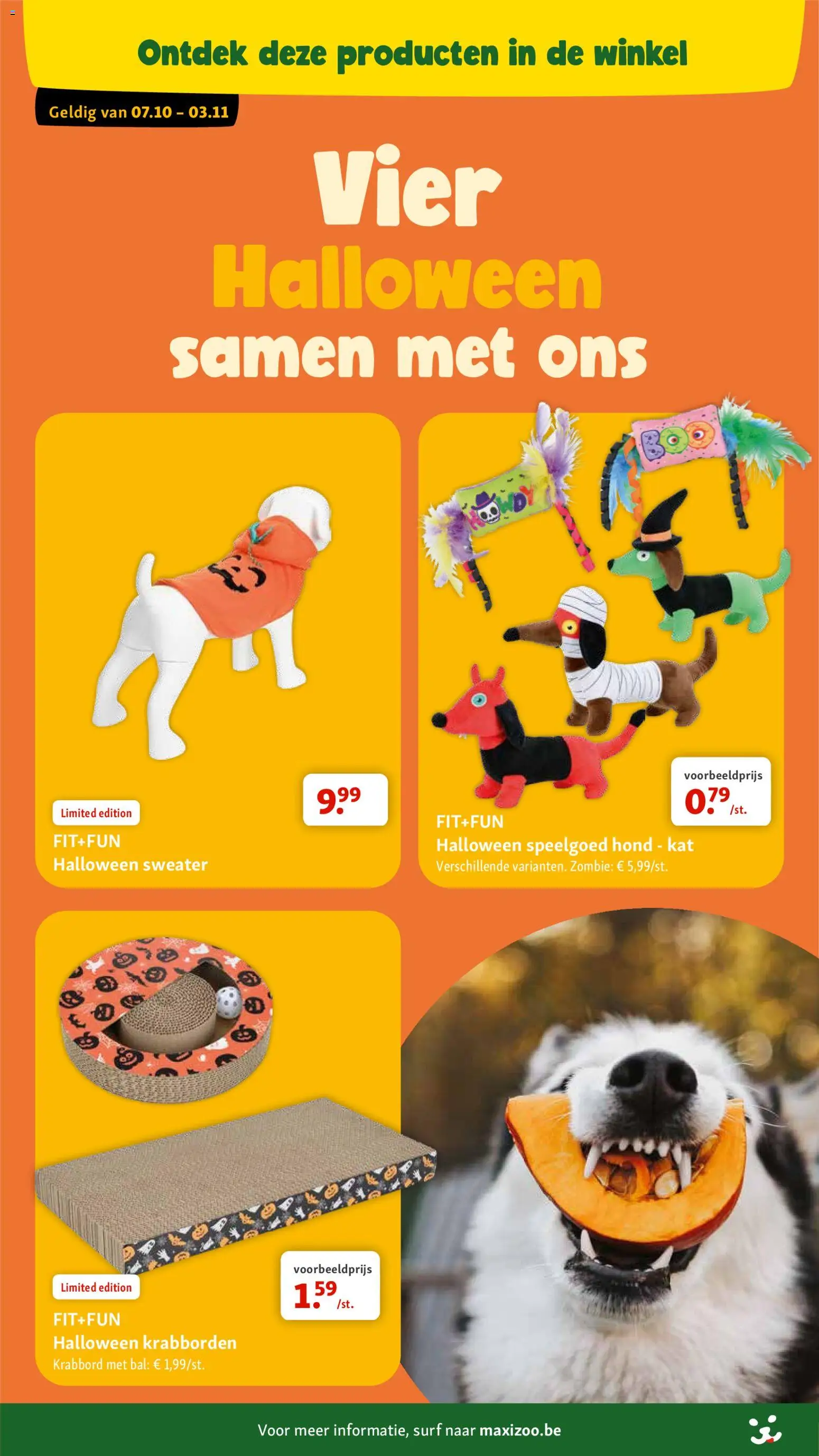Maxi Zoo folder Folder in België