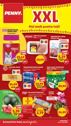 PENNY PENNY Catalog