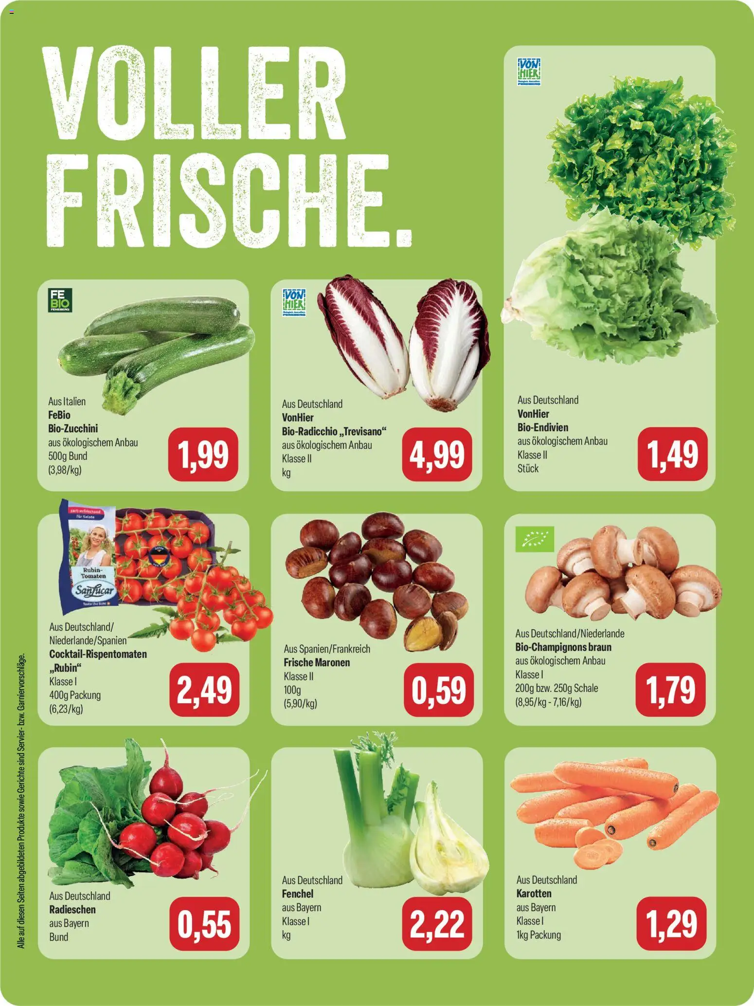 Feneberg Angebote Prospekt in Deutschland