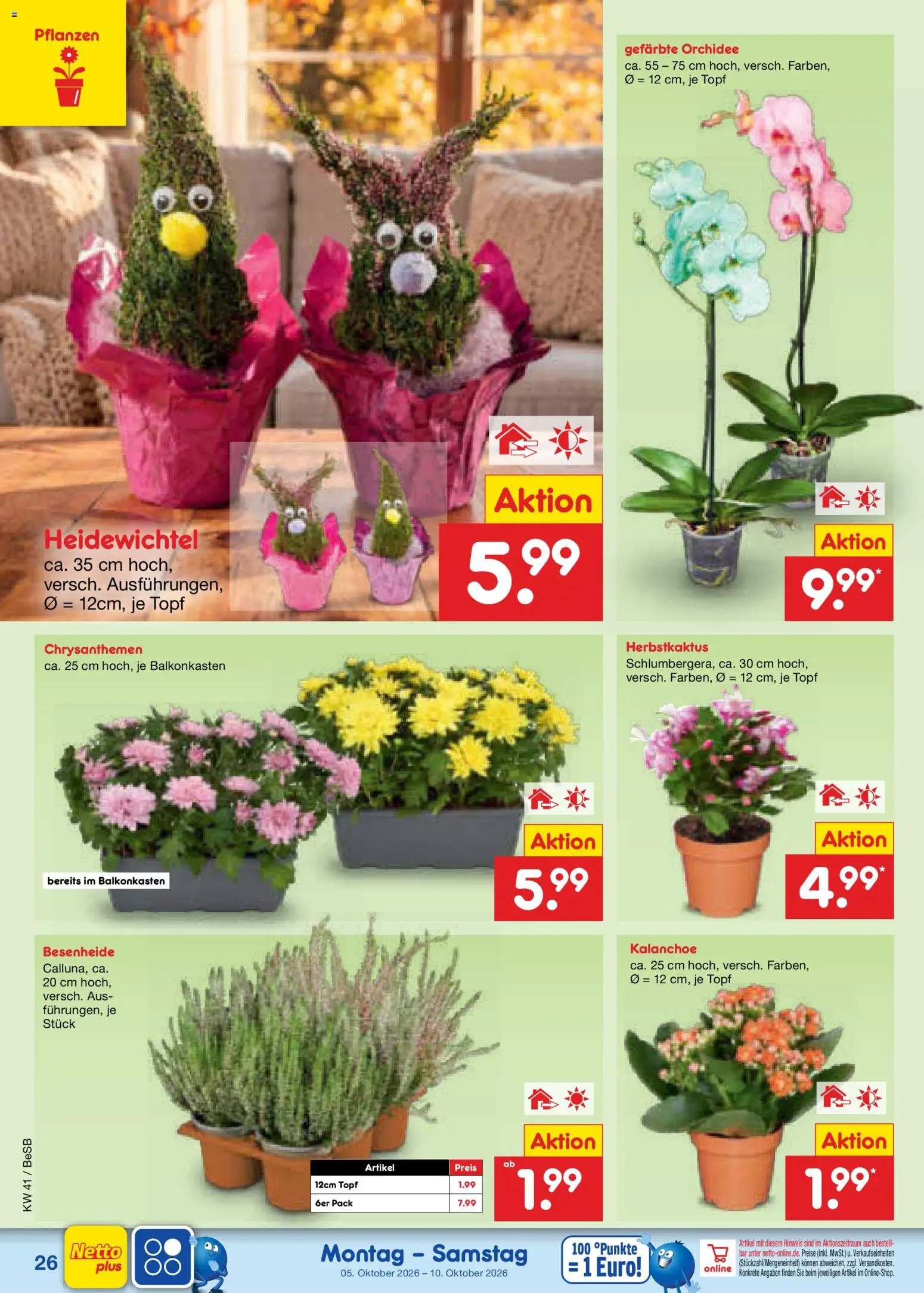 Netto Marken-Discount Prospekt Prospekt in Deutschland