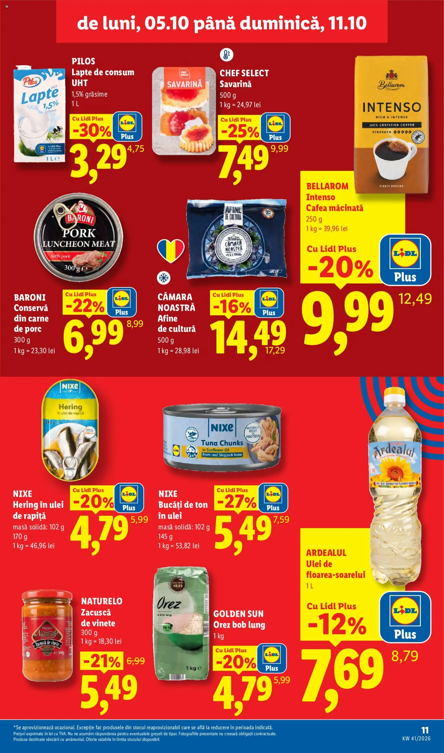 Lidl Catalog Catalog in România