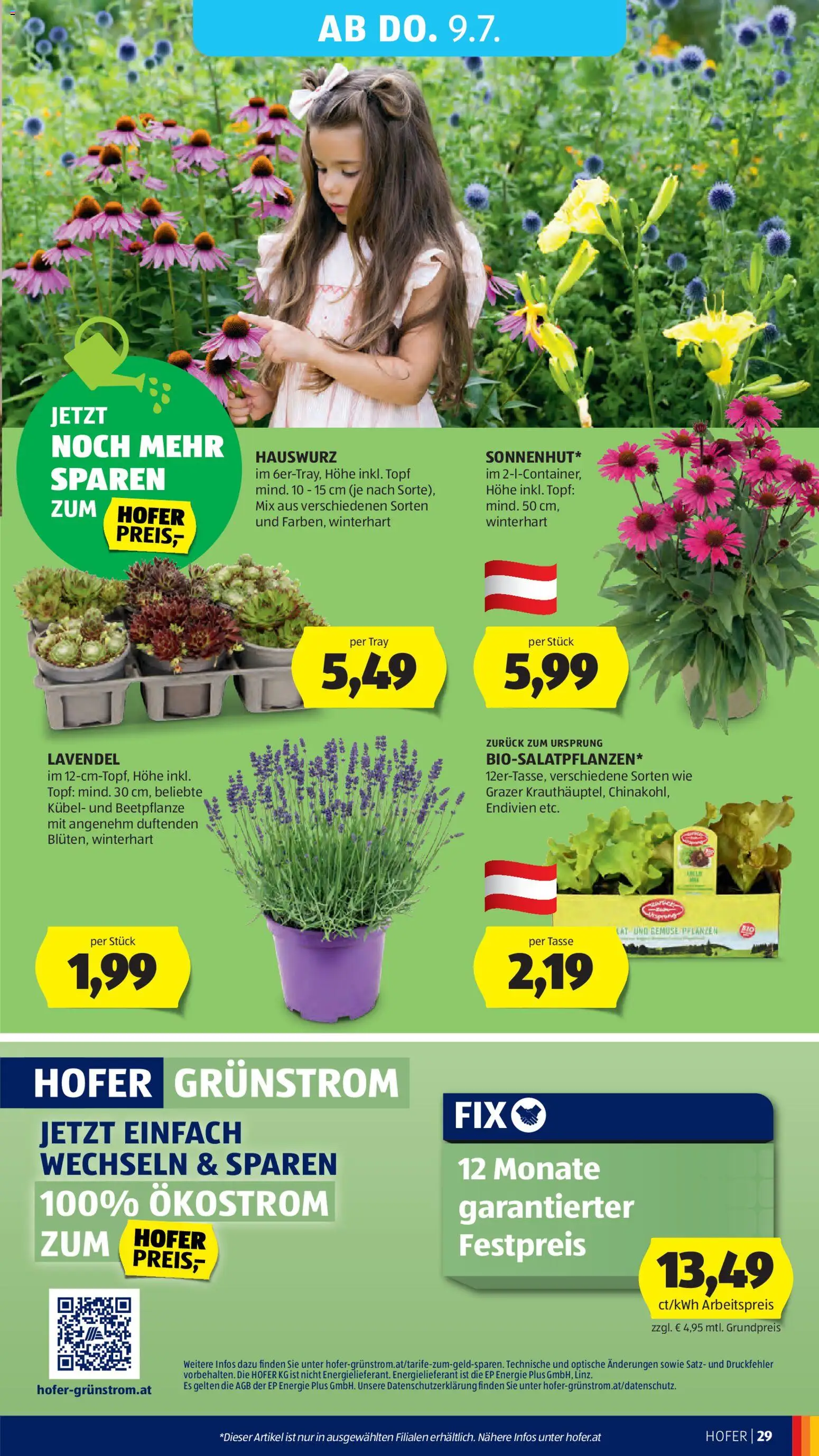 Sparen Sie mit dem | Hofer Flugblatt ab 03.07.2026 ✳️ Angebote | Österreich