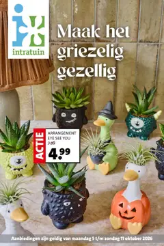 Intratuin Intratuin - Herfst Sale