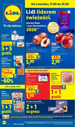 Lidl Lidl gazetka