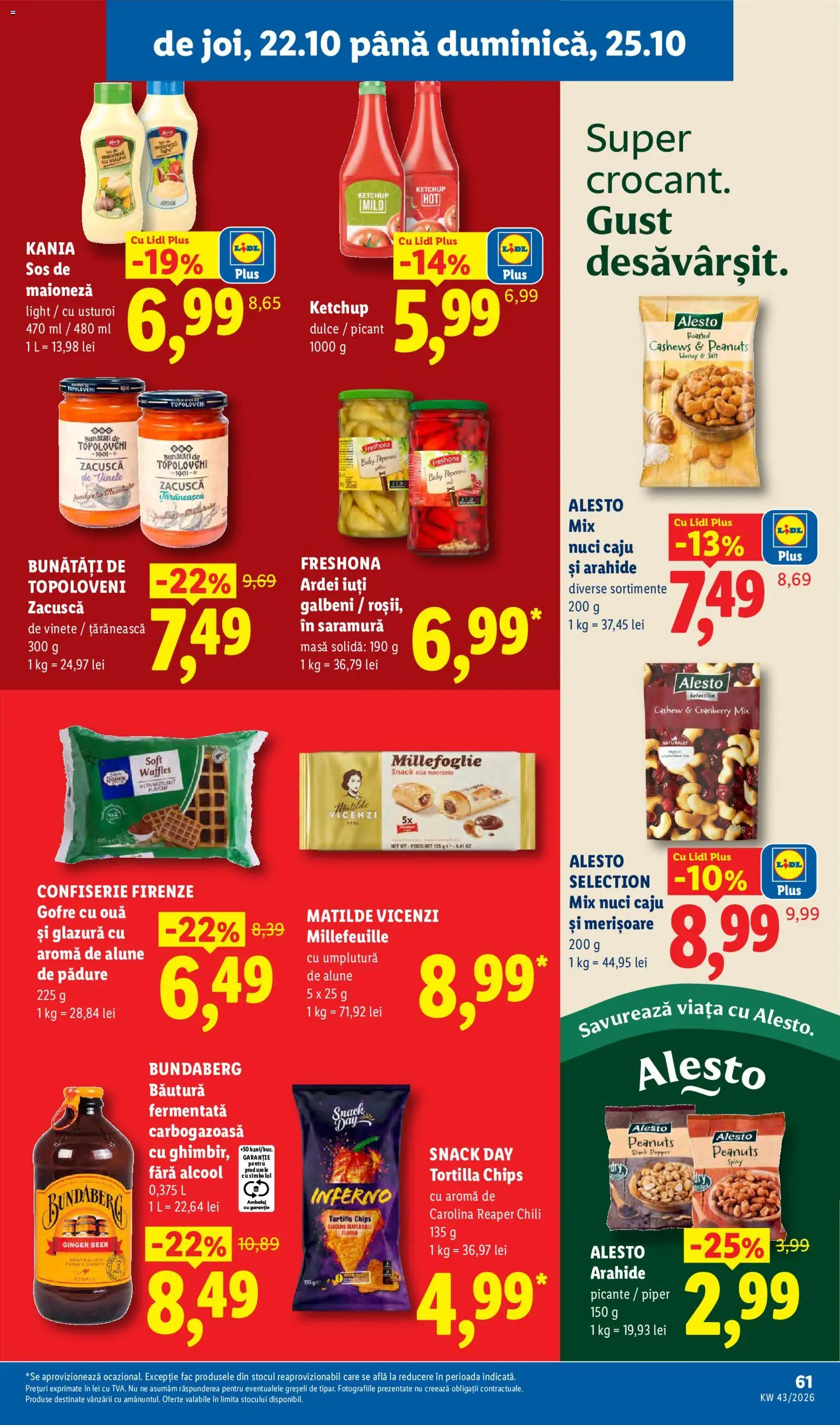 Lidl Catalog Catalog in România
