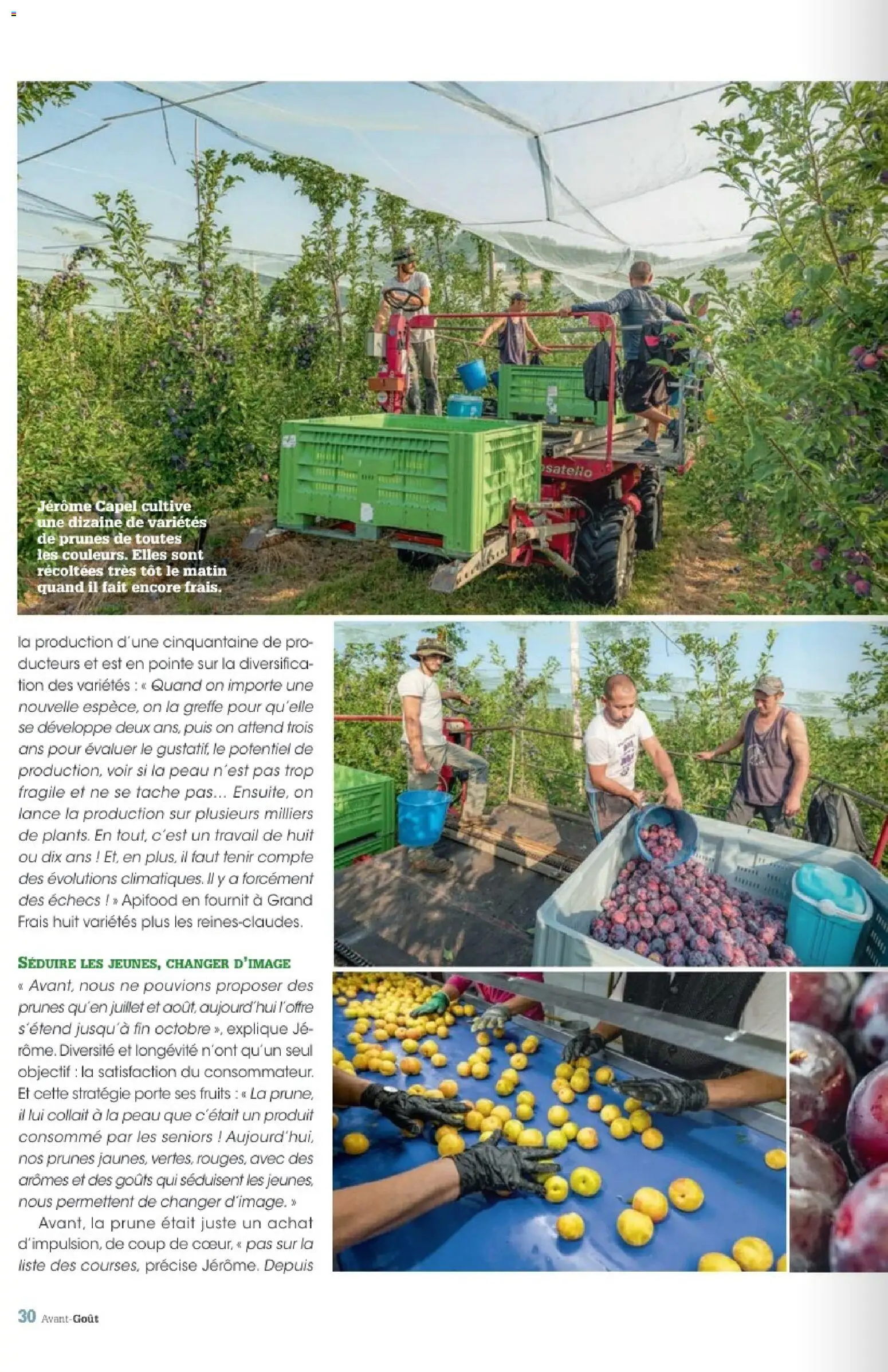 Grand Frais - Eté 2026 Catalogue in France