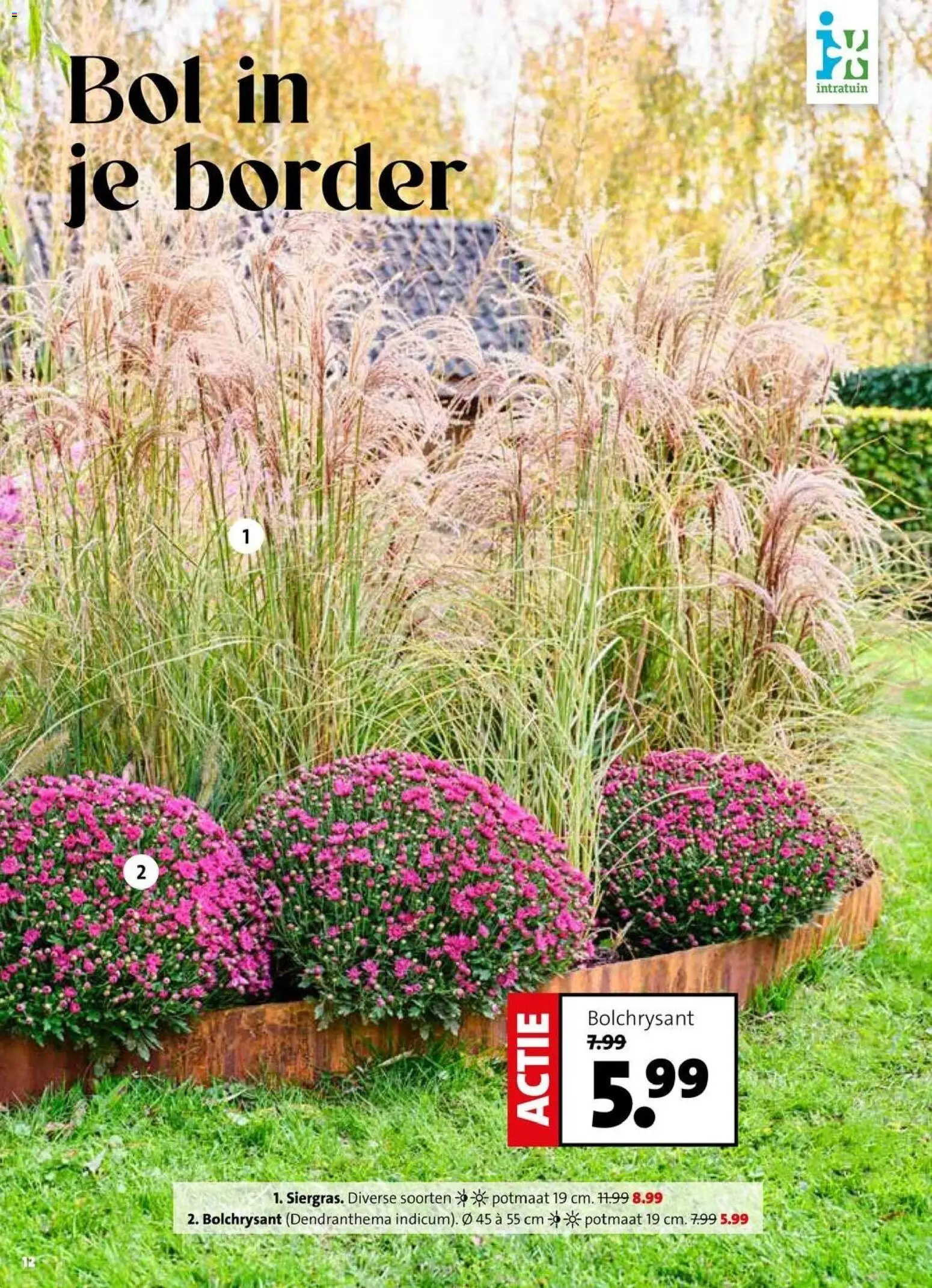 Intratuin folder Folder in Nederland