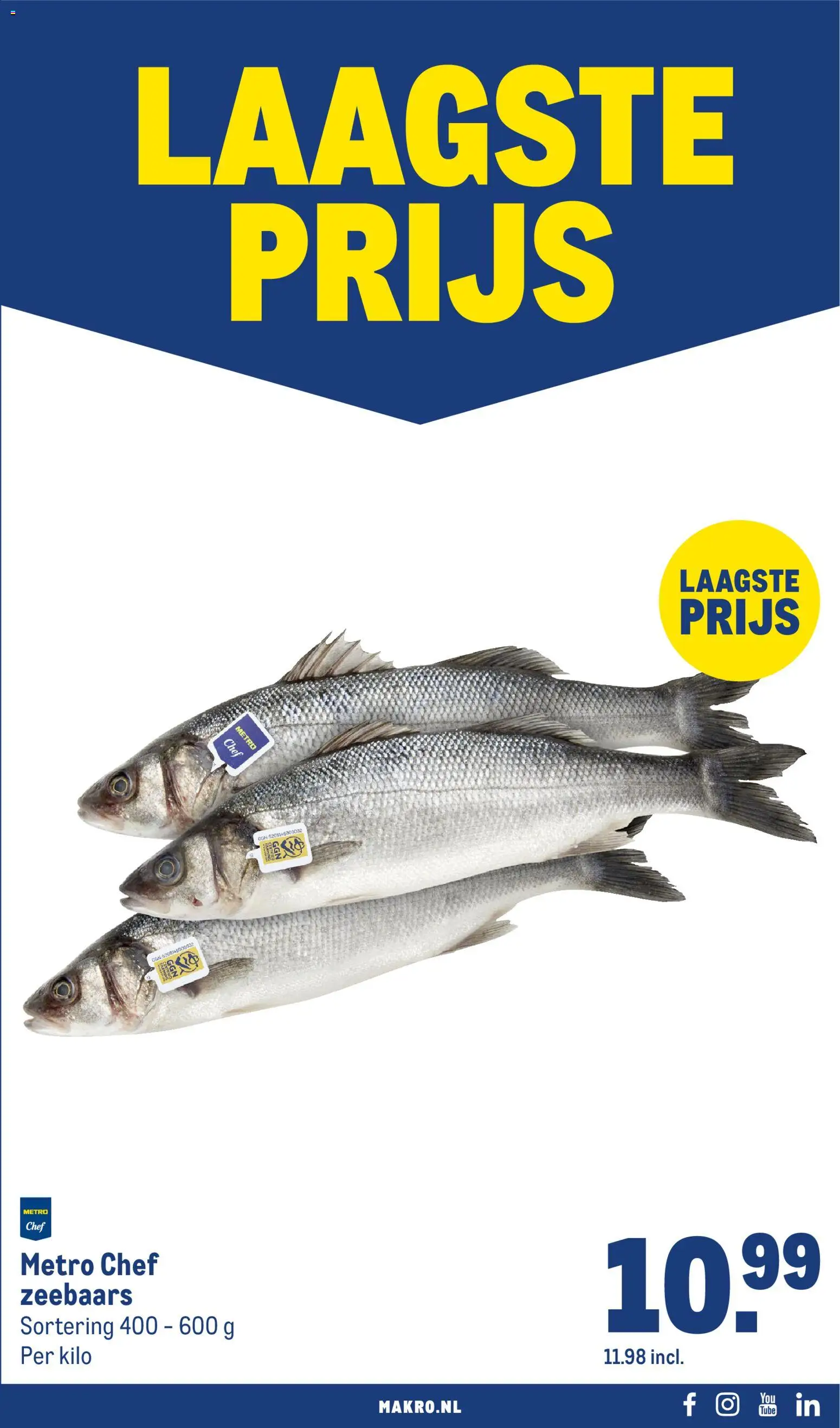 Makro folder Folder in Nederland