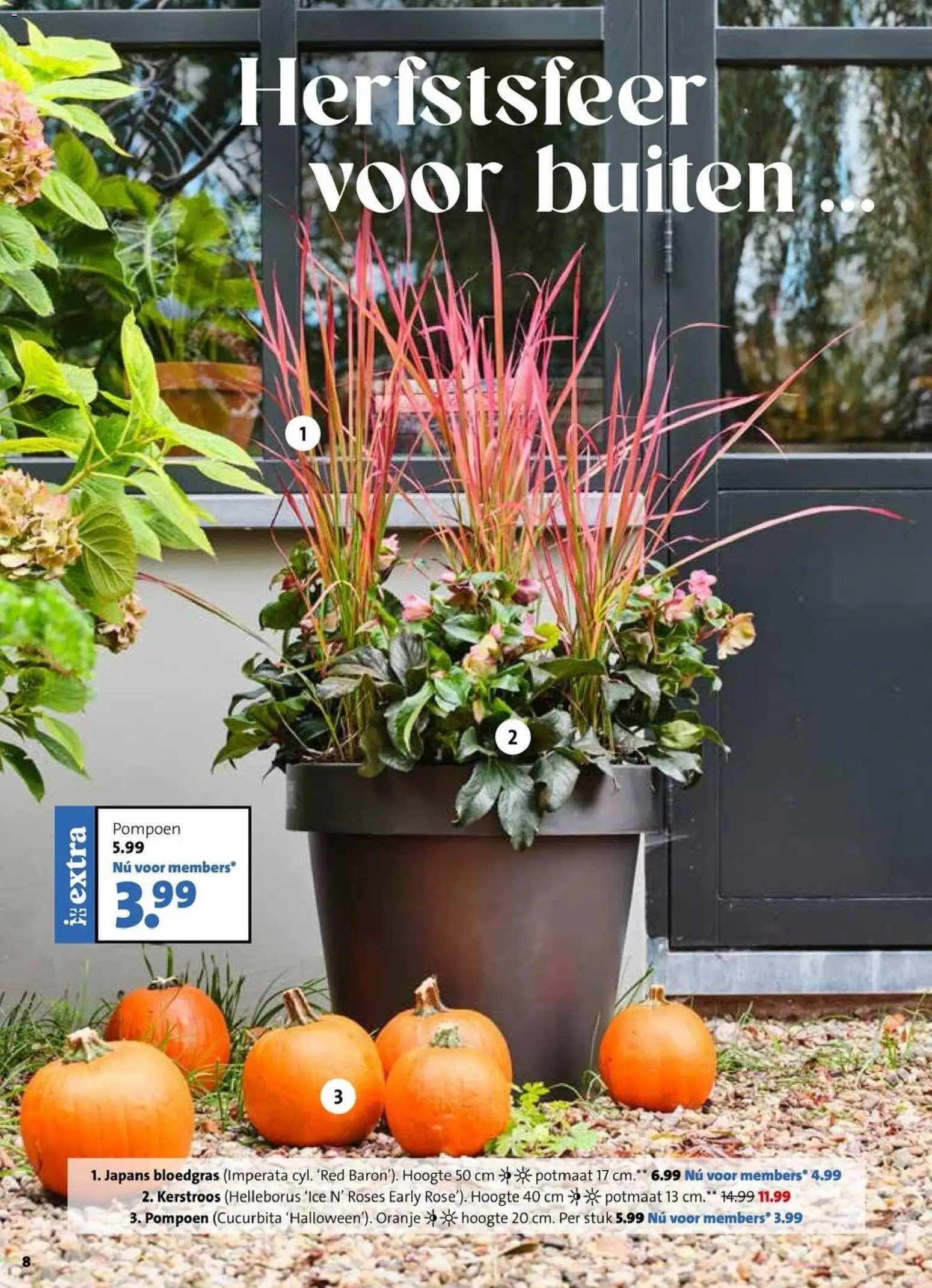 Intratuin folder Folder in Nederland