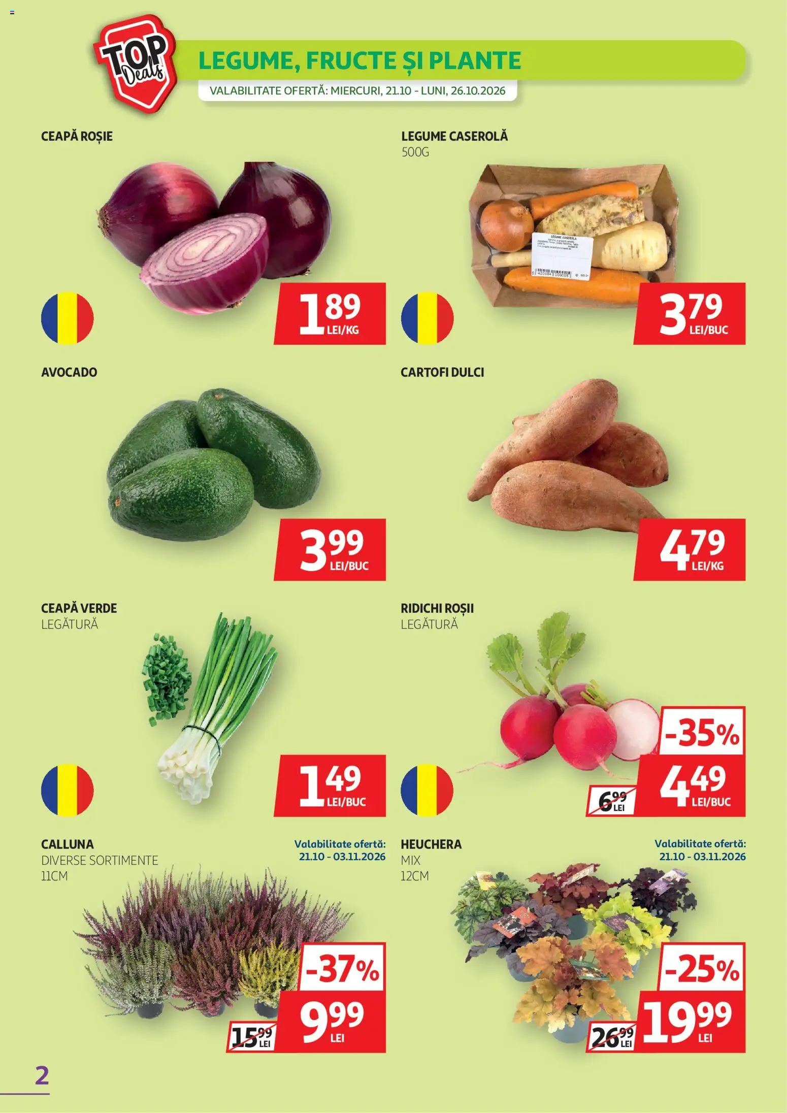 Auchan Catalog Catalog in România