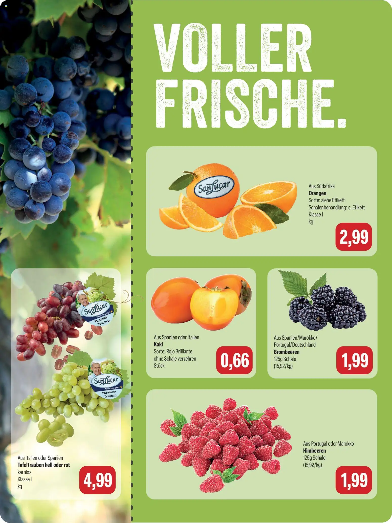 Feneberg Angebote Prospekt in Deutschland